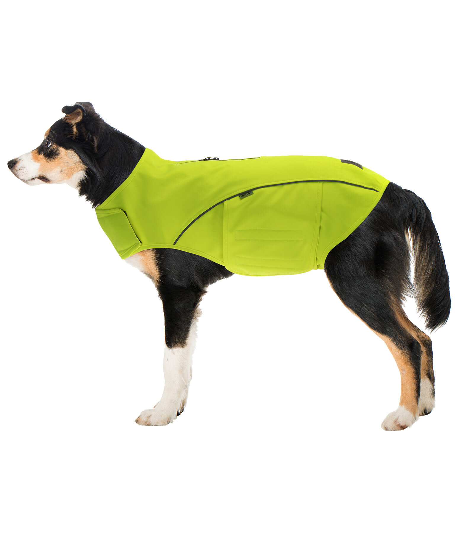 Gilet de s�curit� r�fl�chissant pour chien
