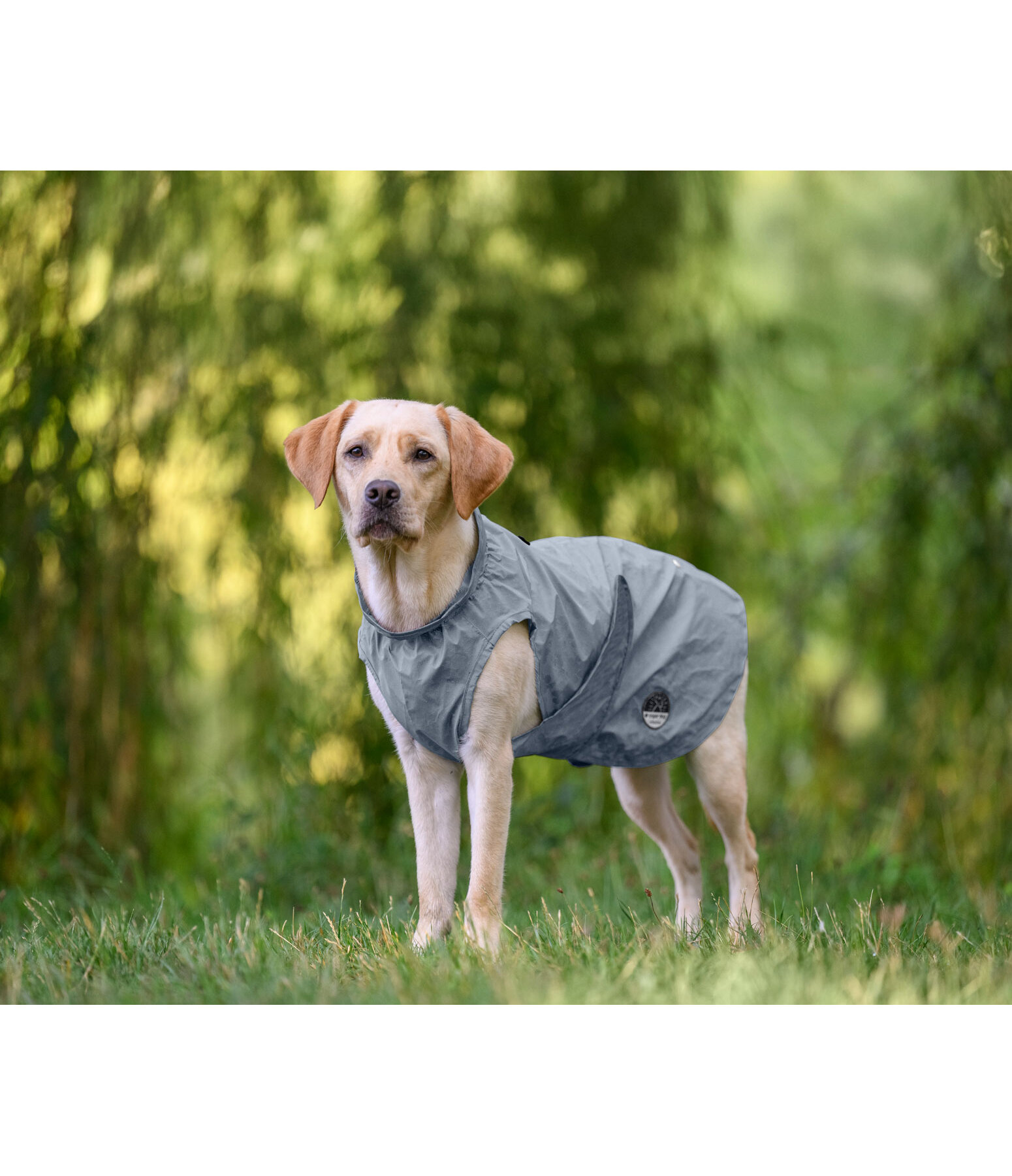 Imperm�able r�fl�chissant  To Go