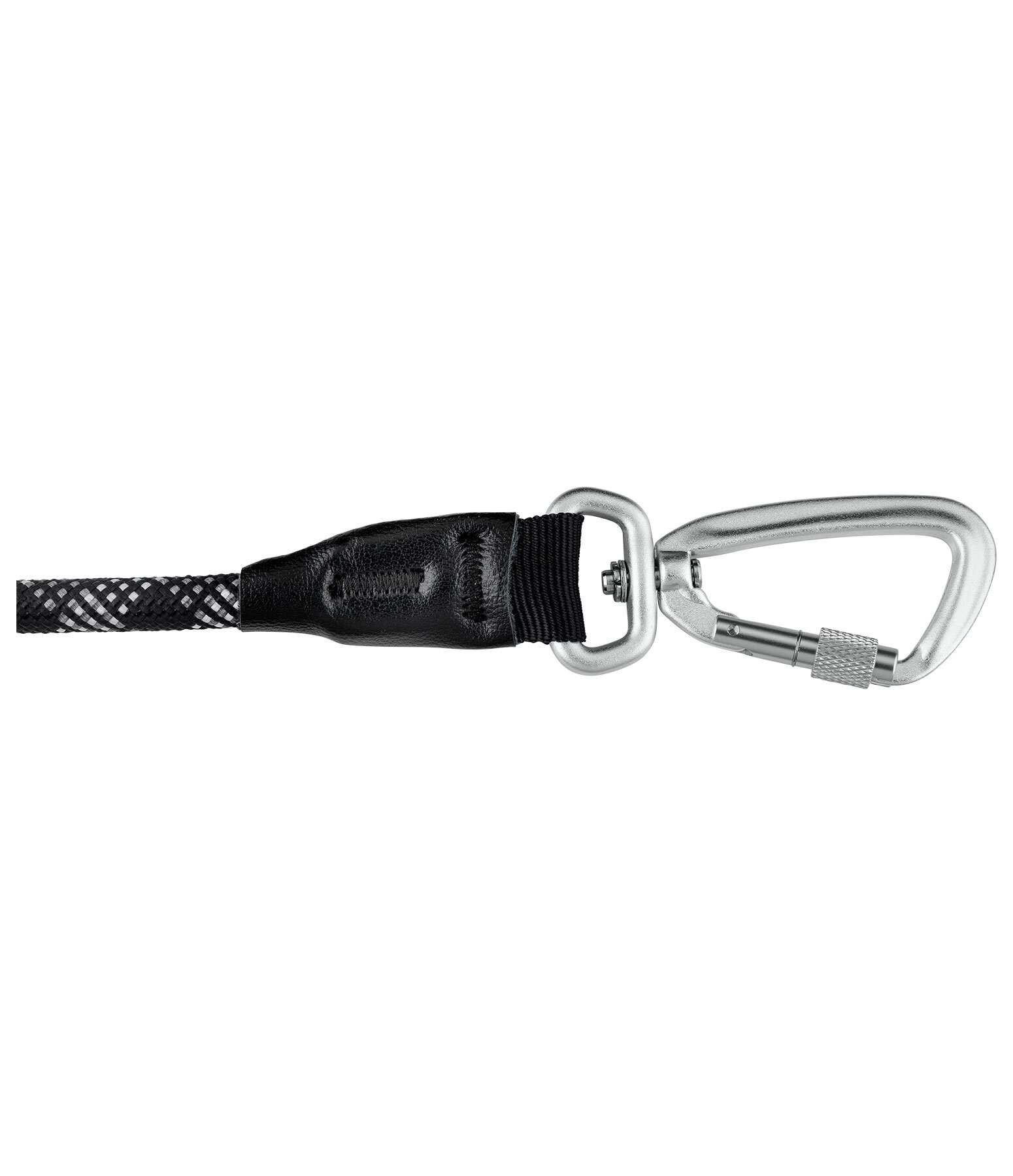 Laisse pour chien  Expedition