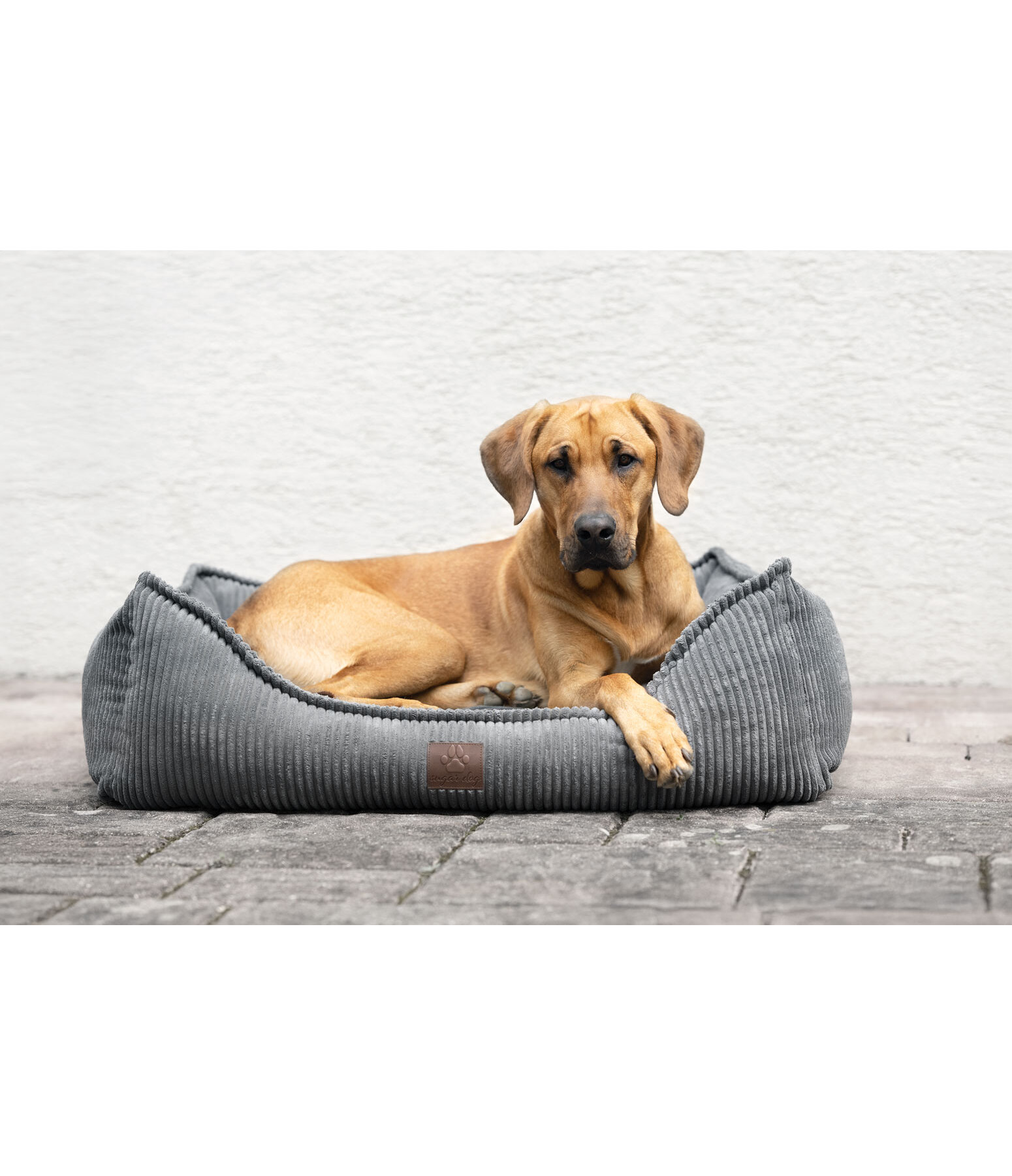 Panier pour chien  Cord