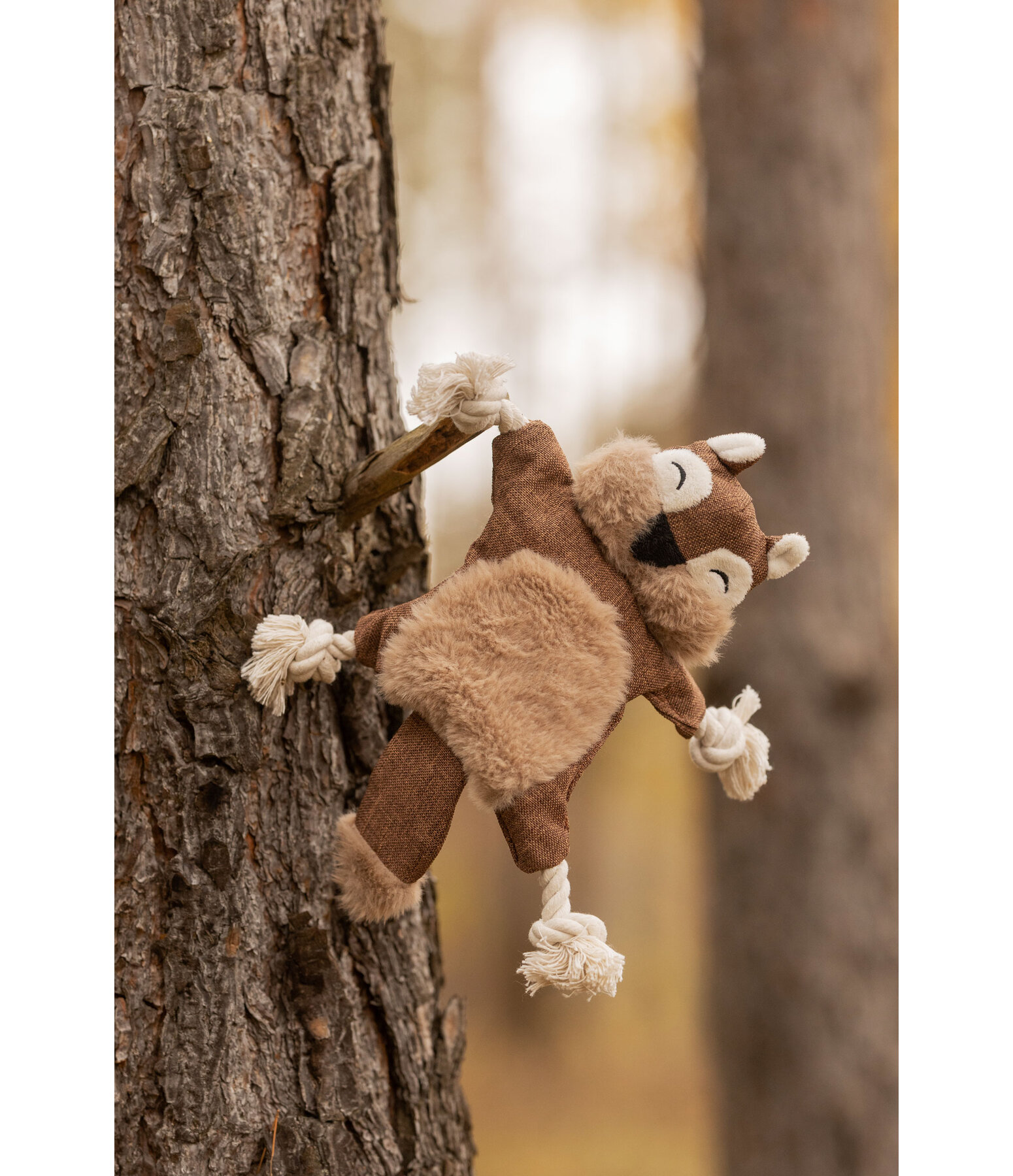 Jouet pour chien �cureuil