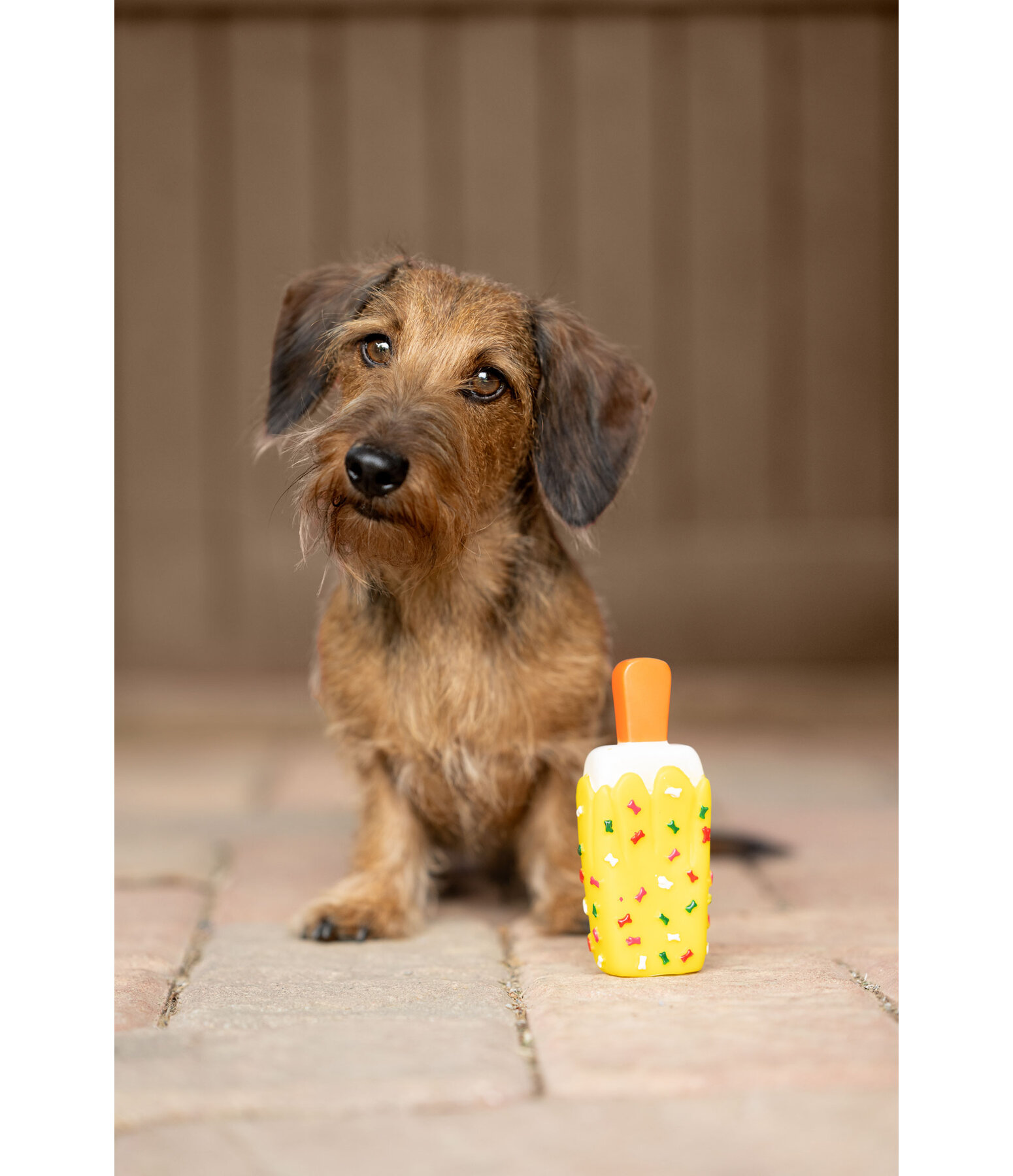 Jouet couineur  glace