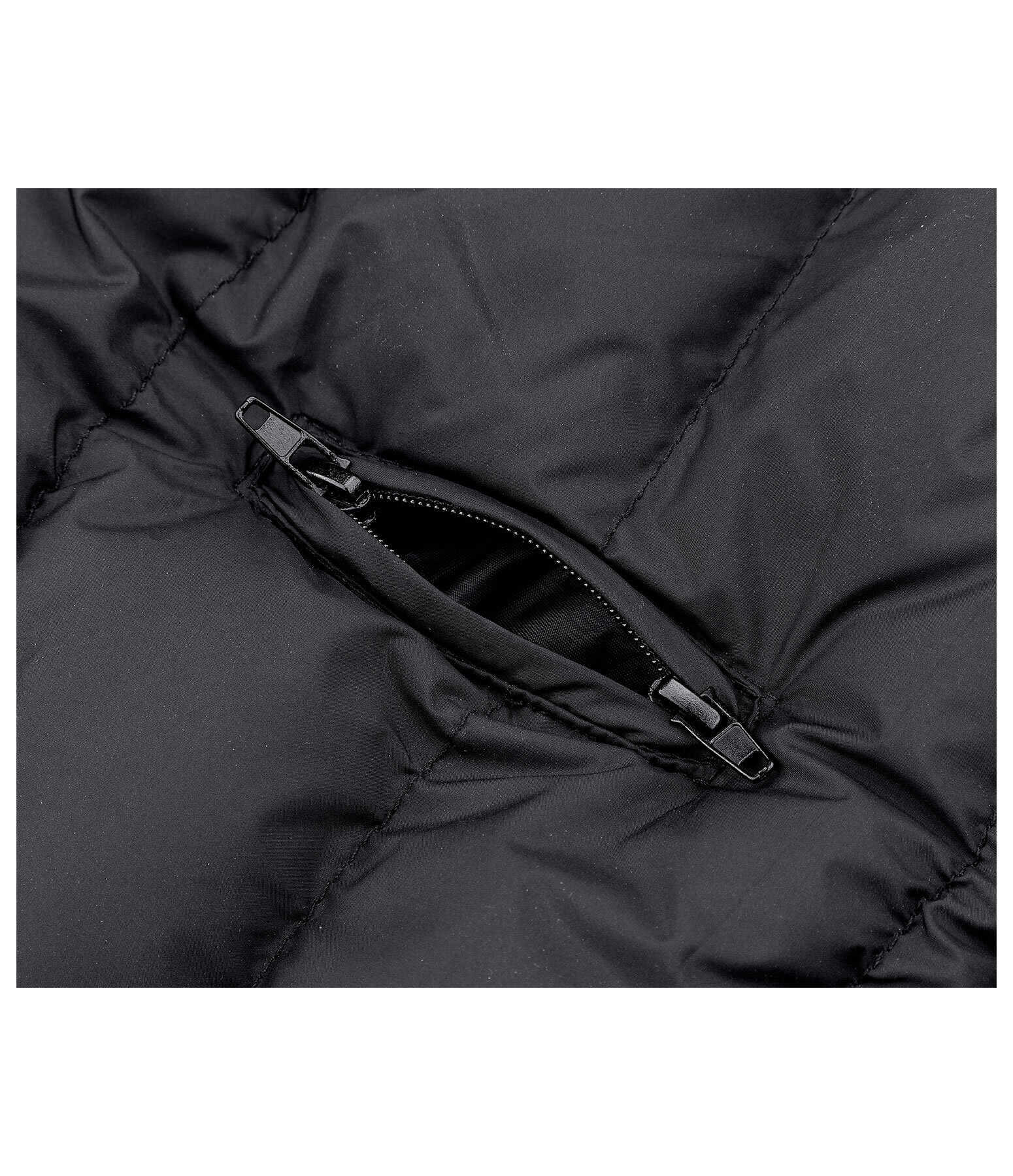 Veste d'hiver l�g�re pour chien  Anton