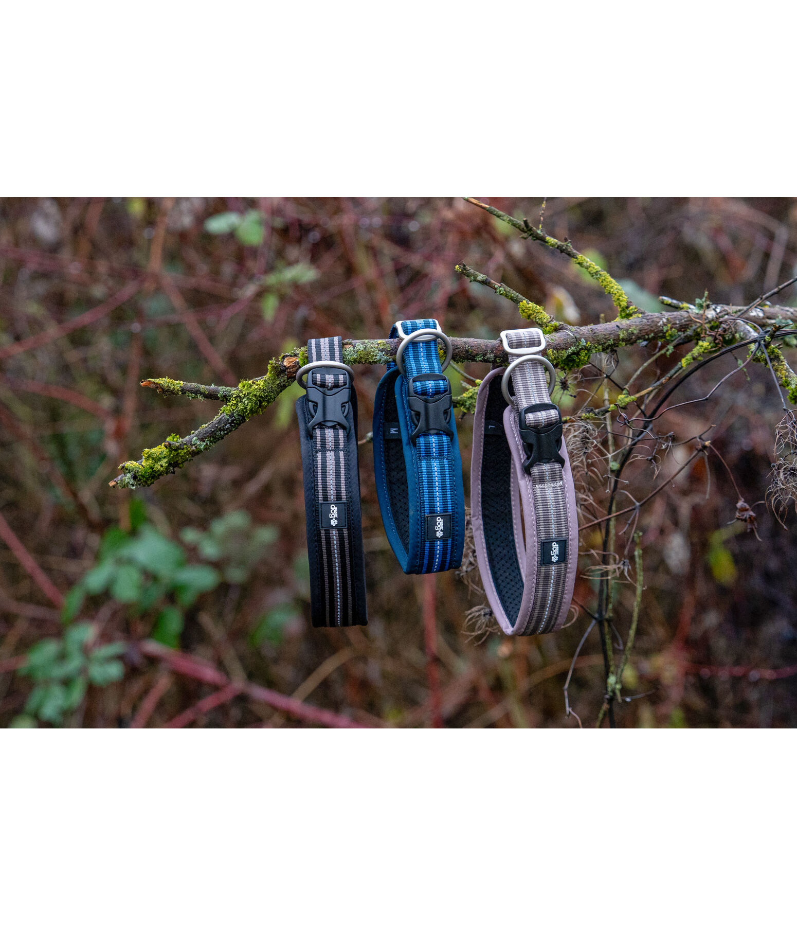 Collier pour chien  Comfort Fit