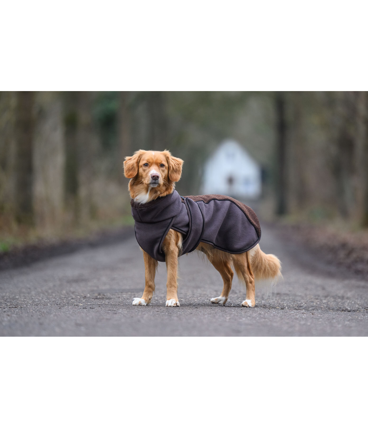 Manteau pour chien en polaire Teddy  Frido