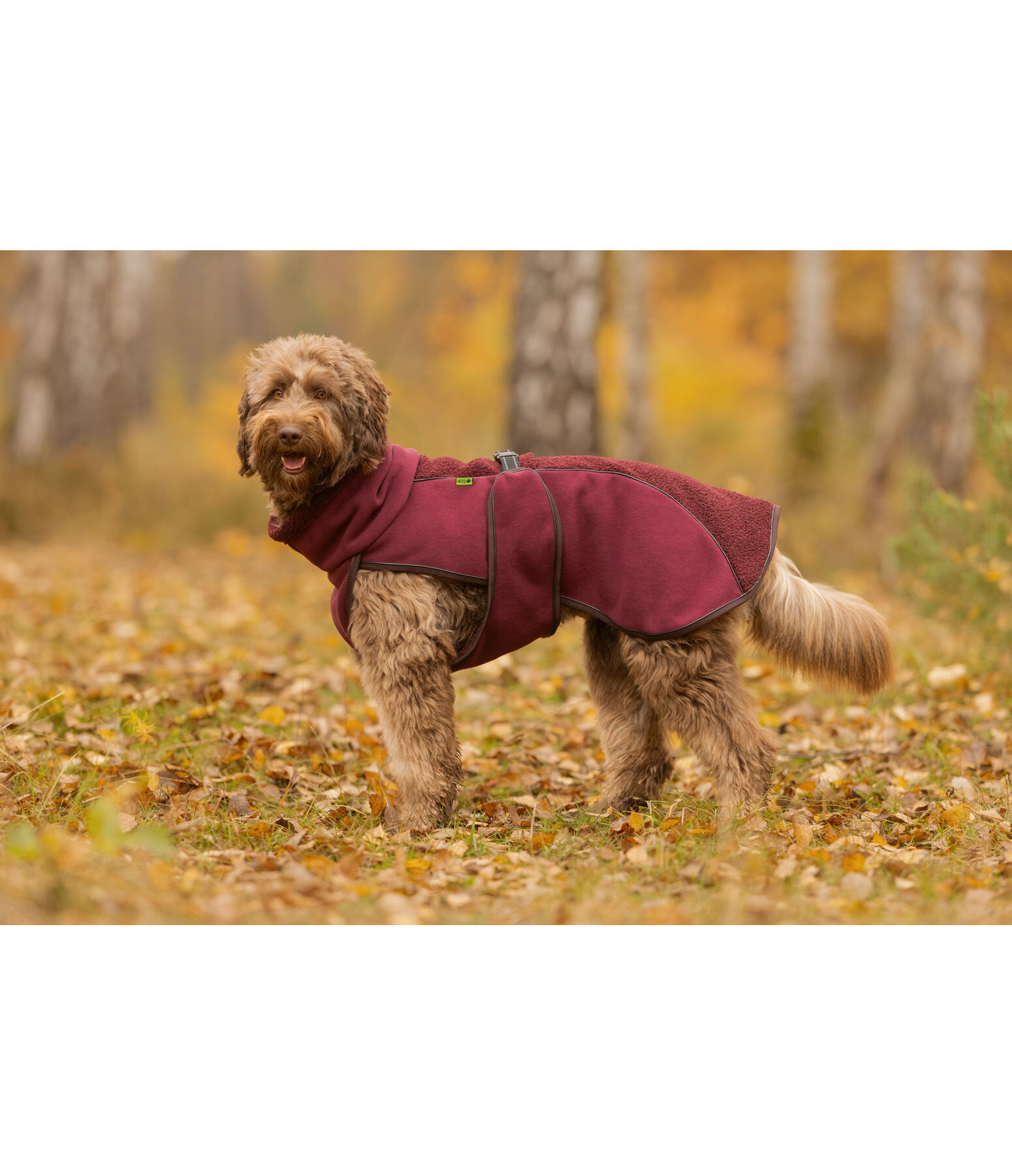 Manteau pour chien en polaire Teddy  Frido