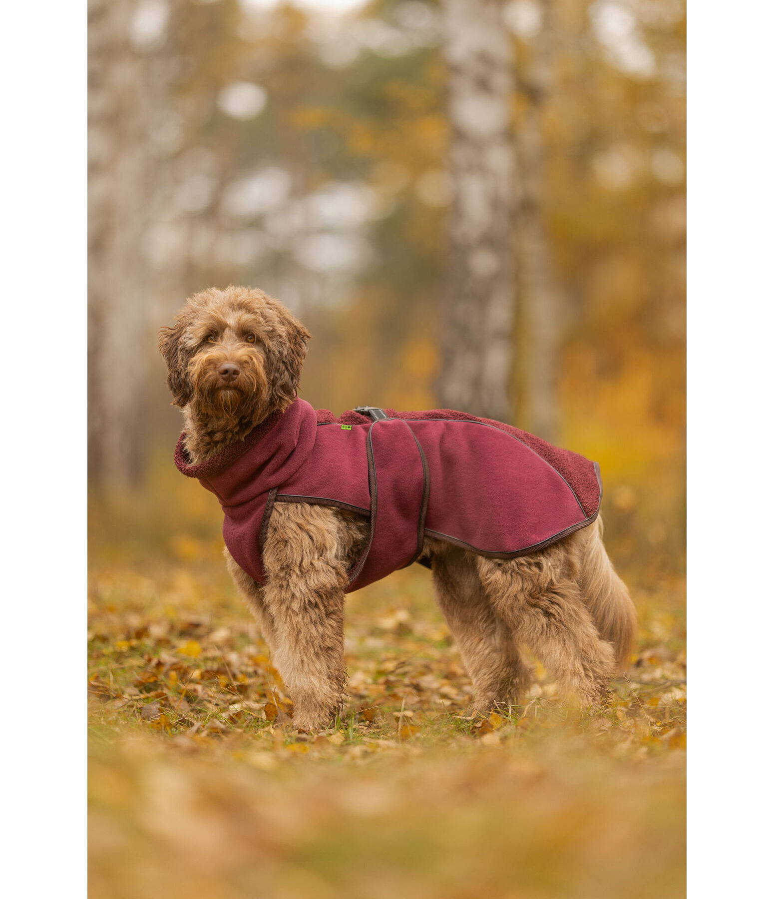 Manteau pour chien en polaire Teddy  Frido