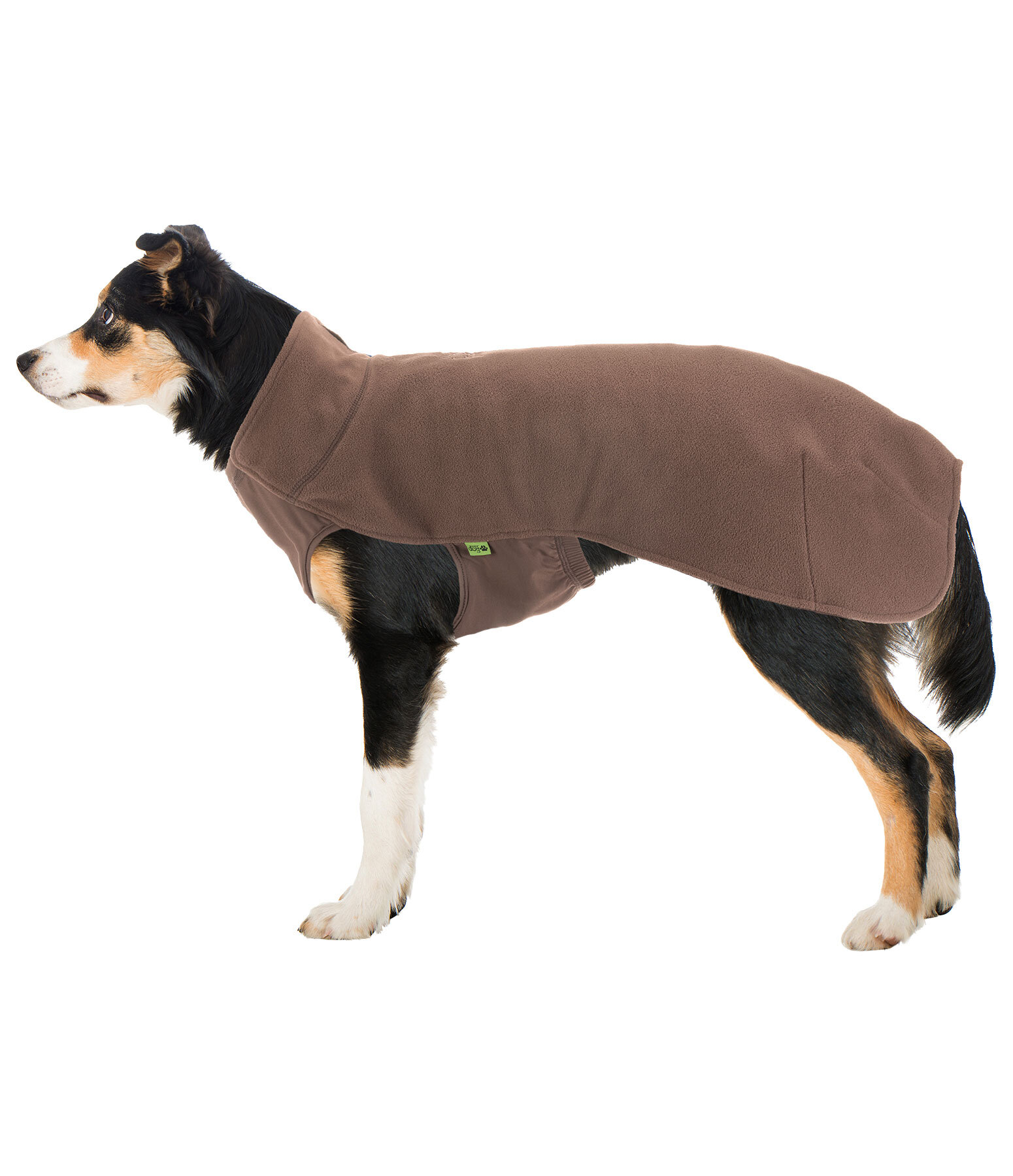Pullover polaire pour chien  Basic