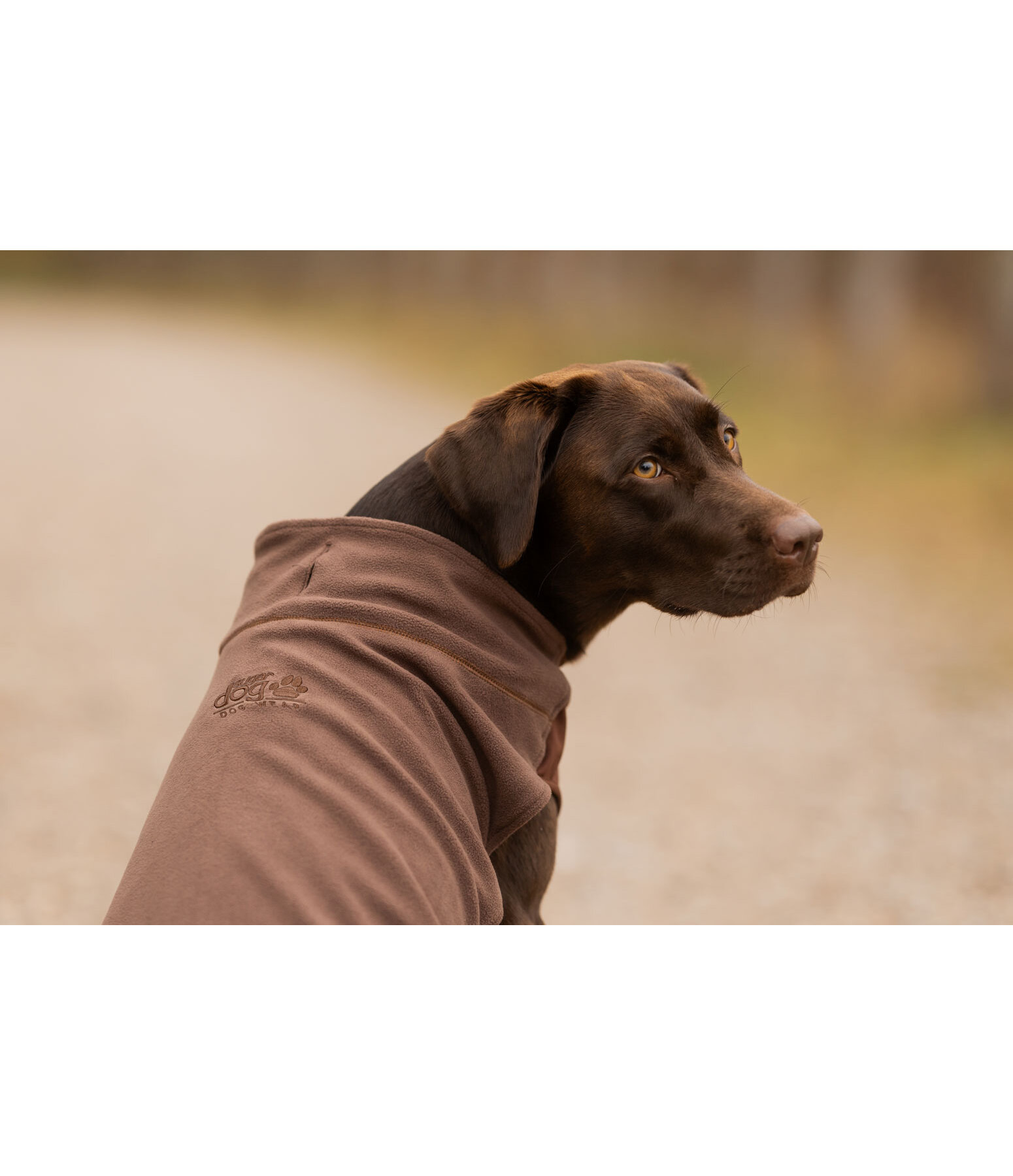 Pullover polaire pour chien  Basic