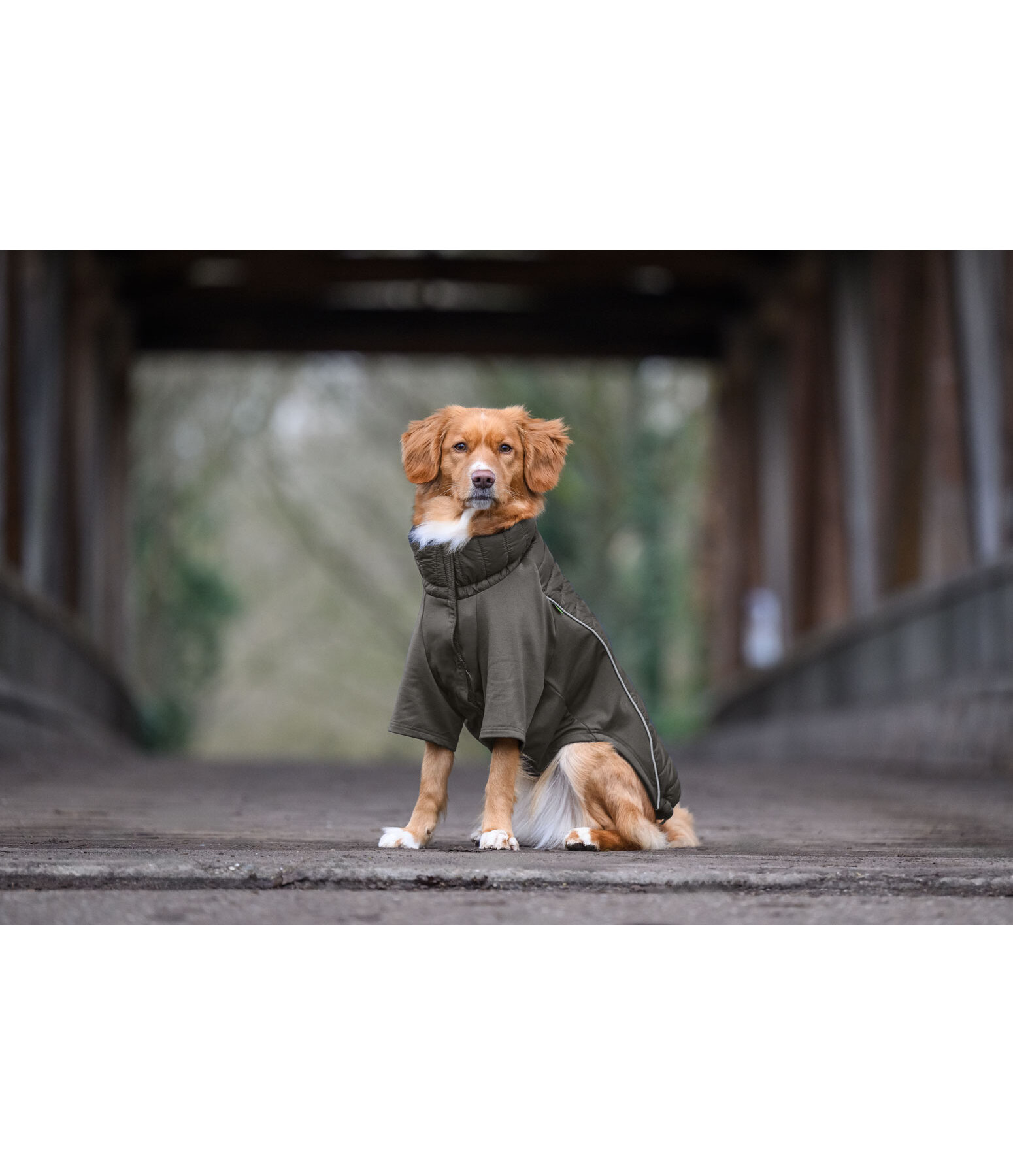 Manteau combinaison  Performance-Stretch Baldo, 160g