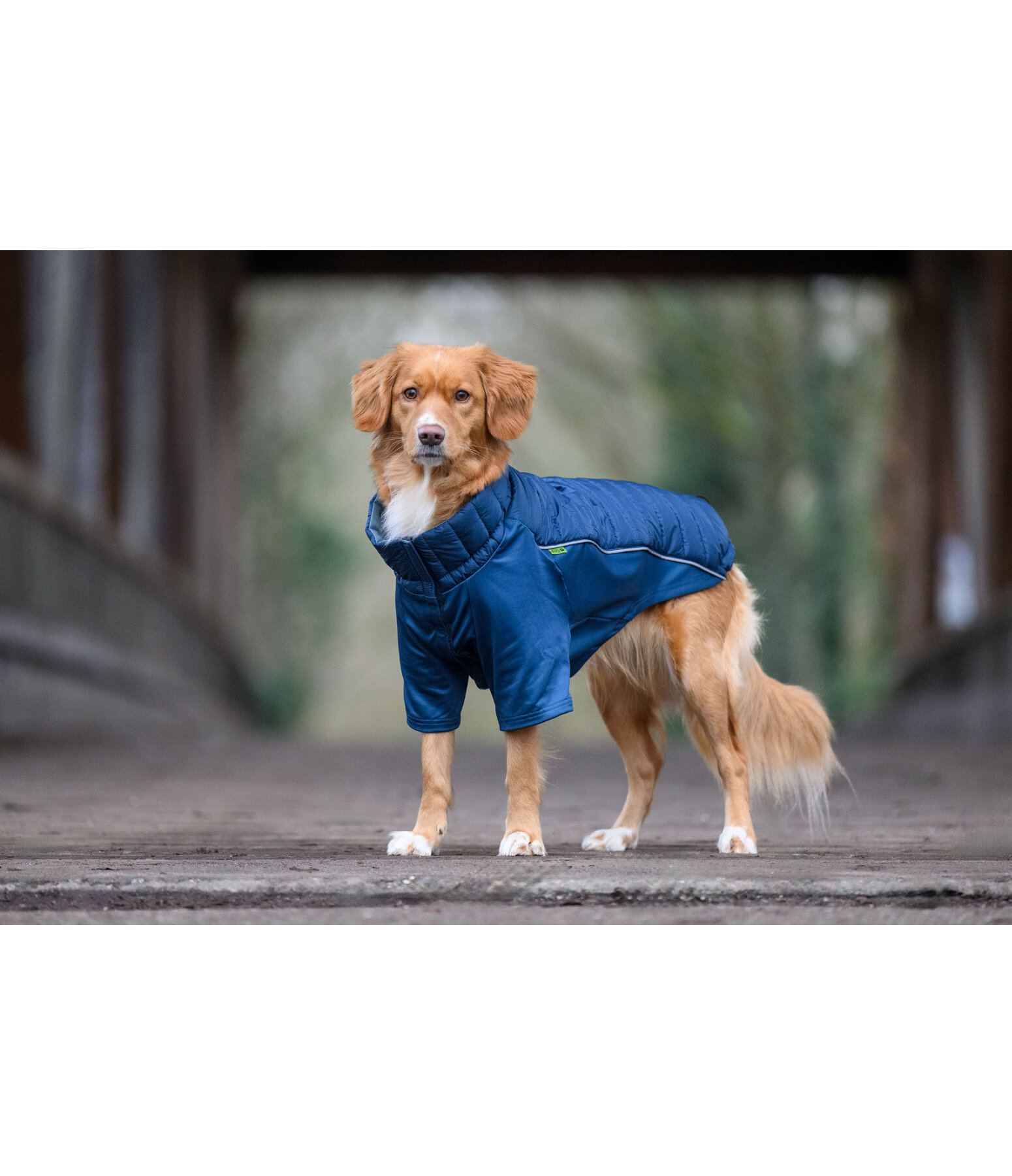 Manteau combinaison  Performance-Stretch Baldo, 160g