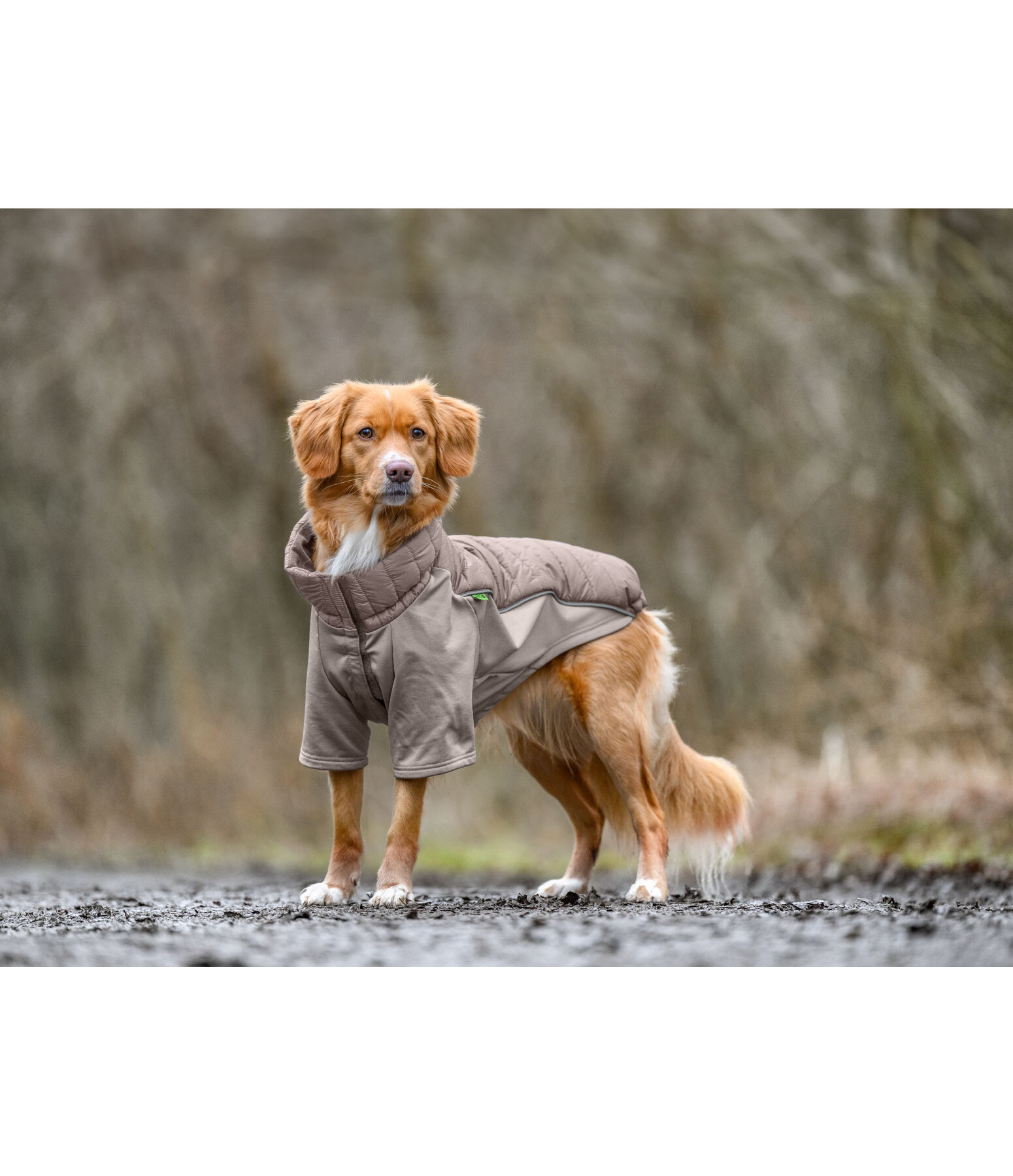 Manteau combinaison  Performance-Stretch Baldo, 160g