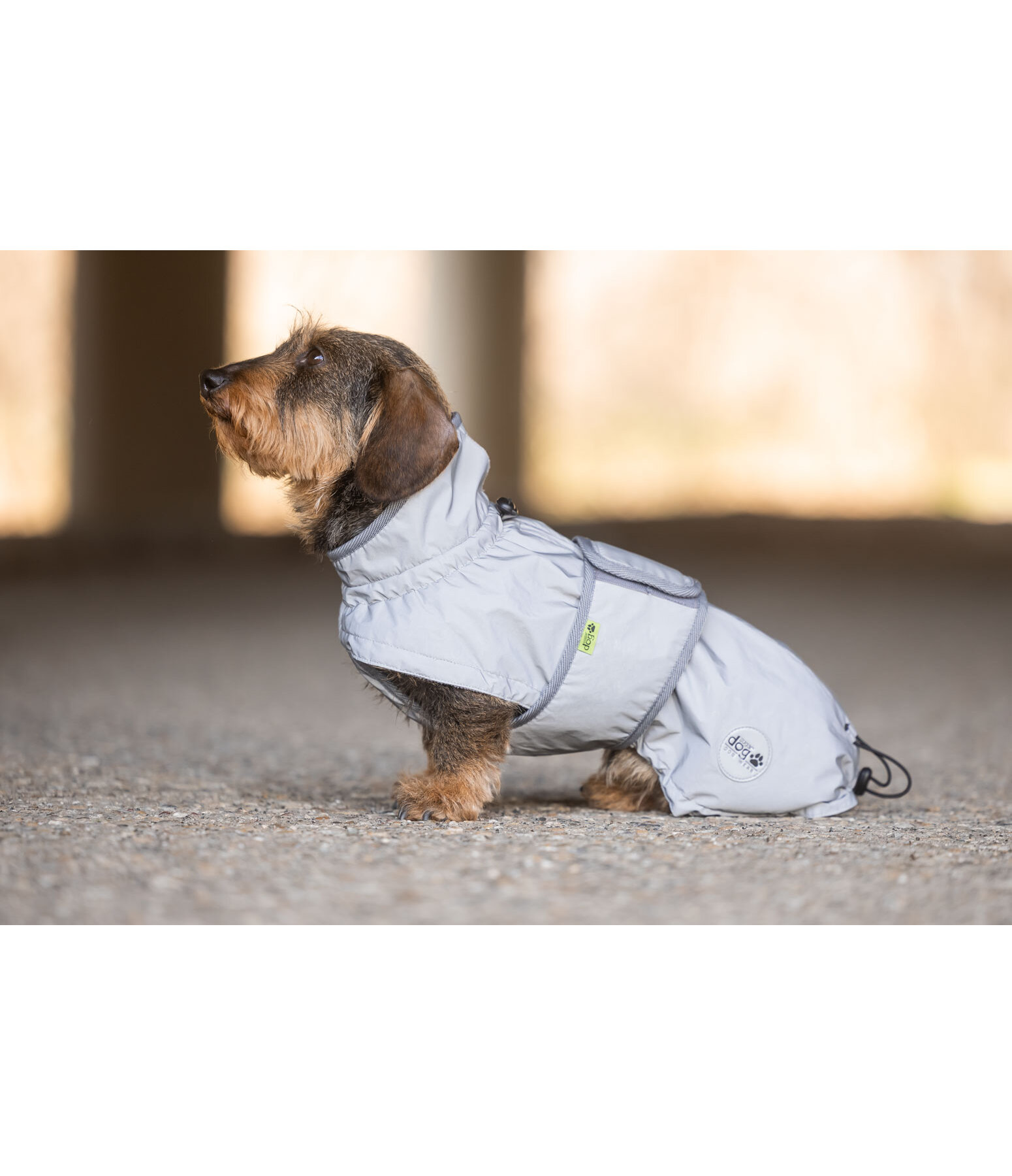 Manteau r�fl�chissant avec doublure en polaire pour teckel  George