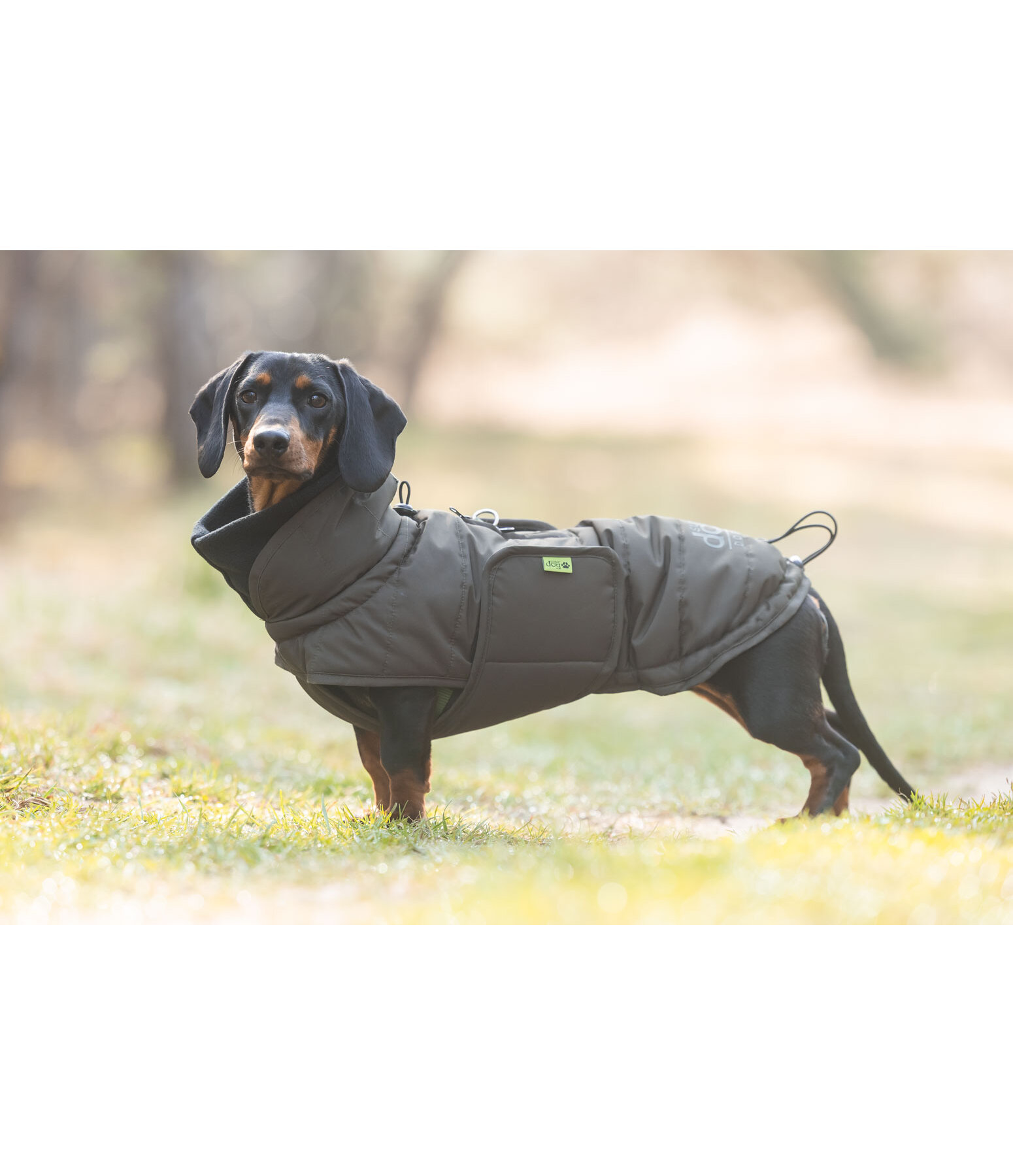 Manteau d'hiver pour teckel  Henry 200 g