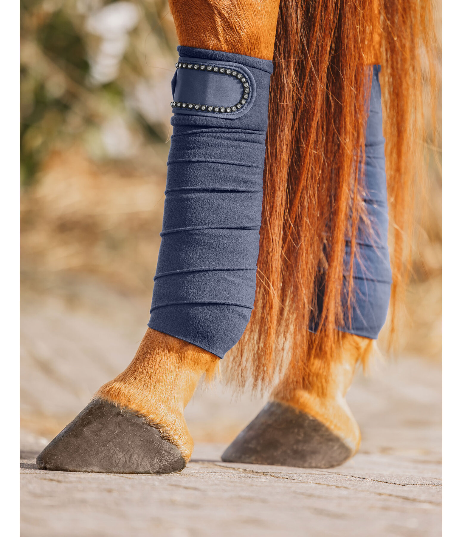 Bandes en polaire  Brilliant