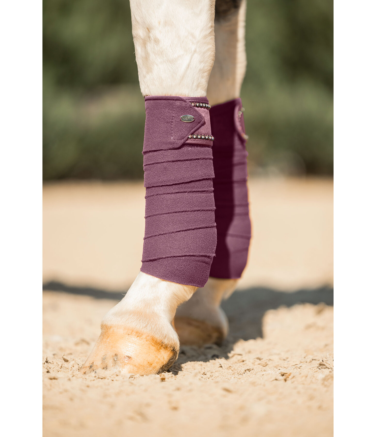Bandes en polaire  Brilliant