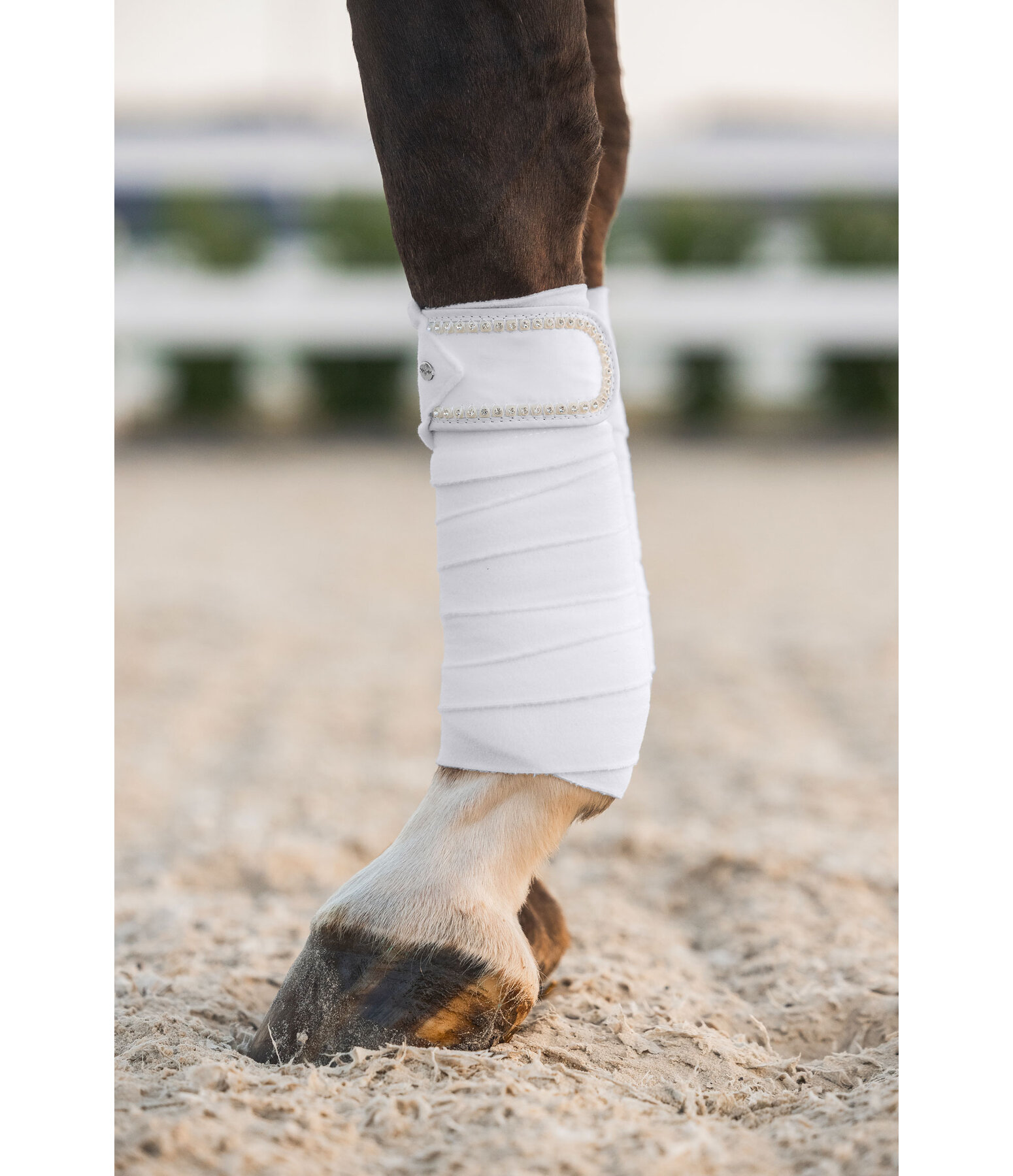 Bandes en polaire  Brilliant