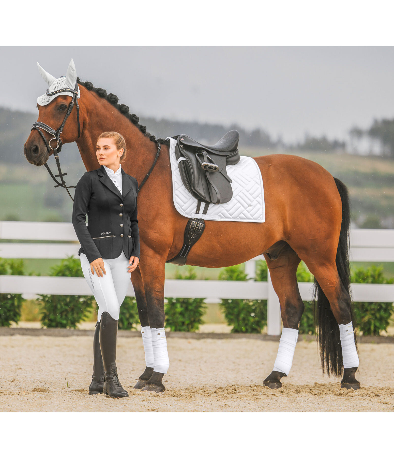 Bandes en polaire  Brilliant