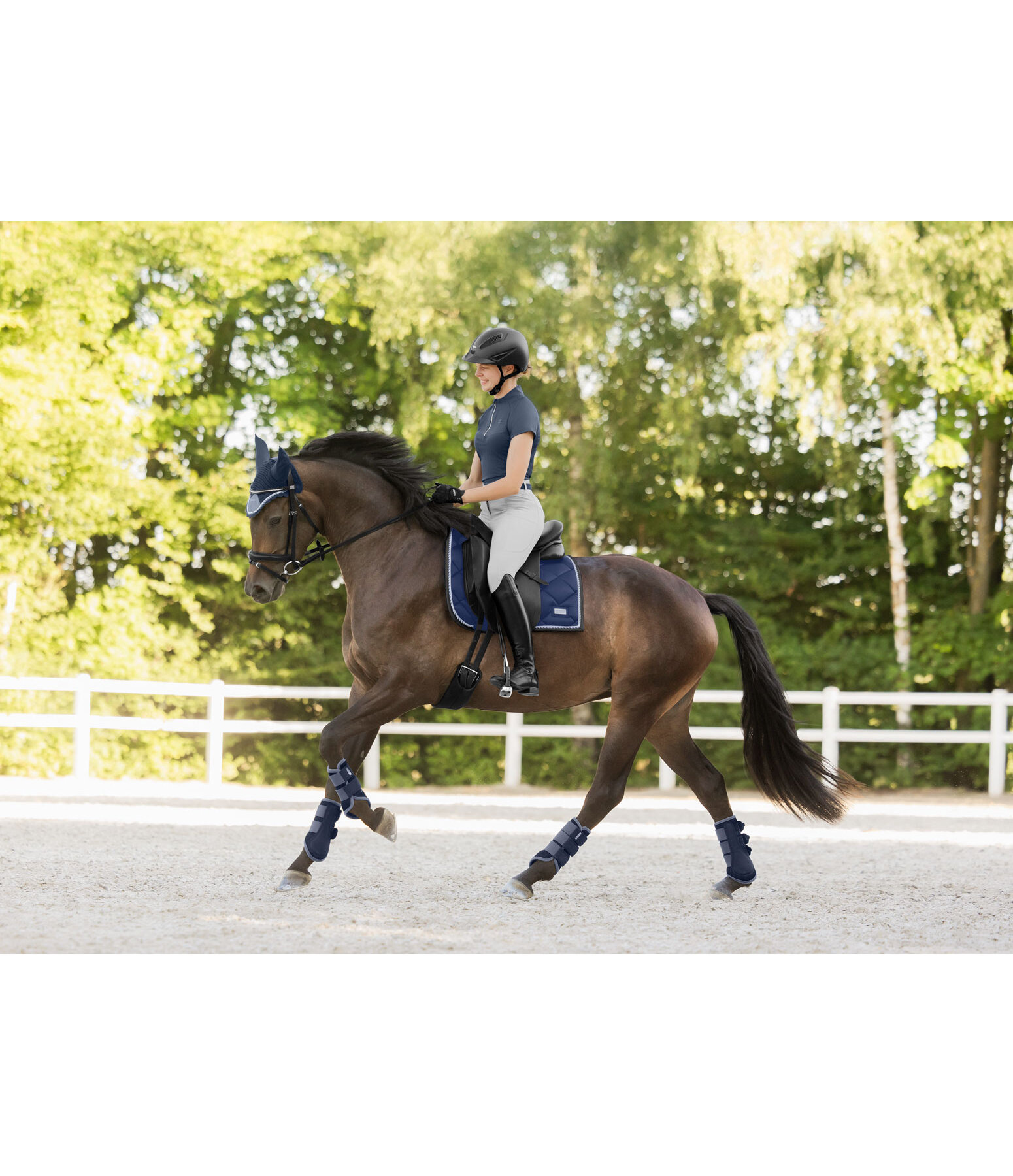 Gu�tres techniques  Swiss Design (Ant�rieurs)