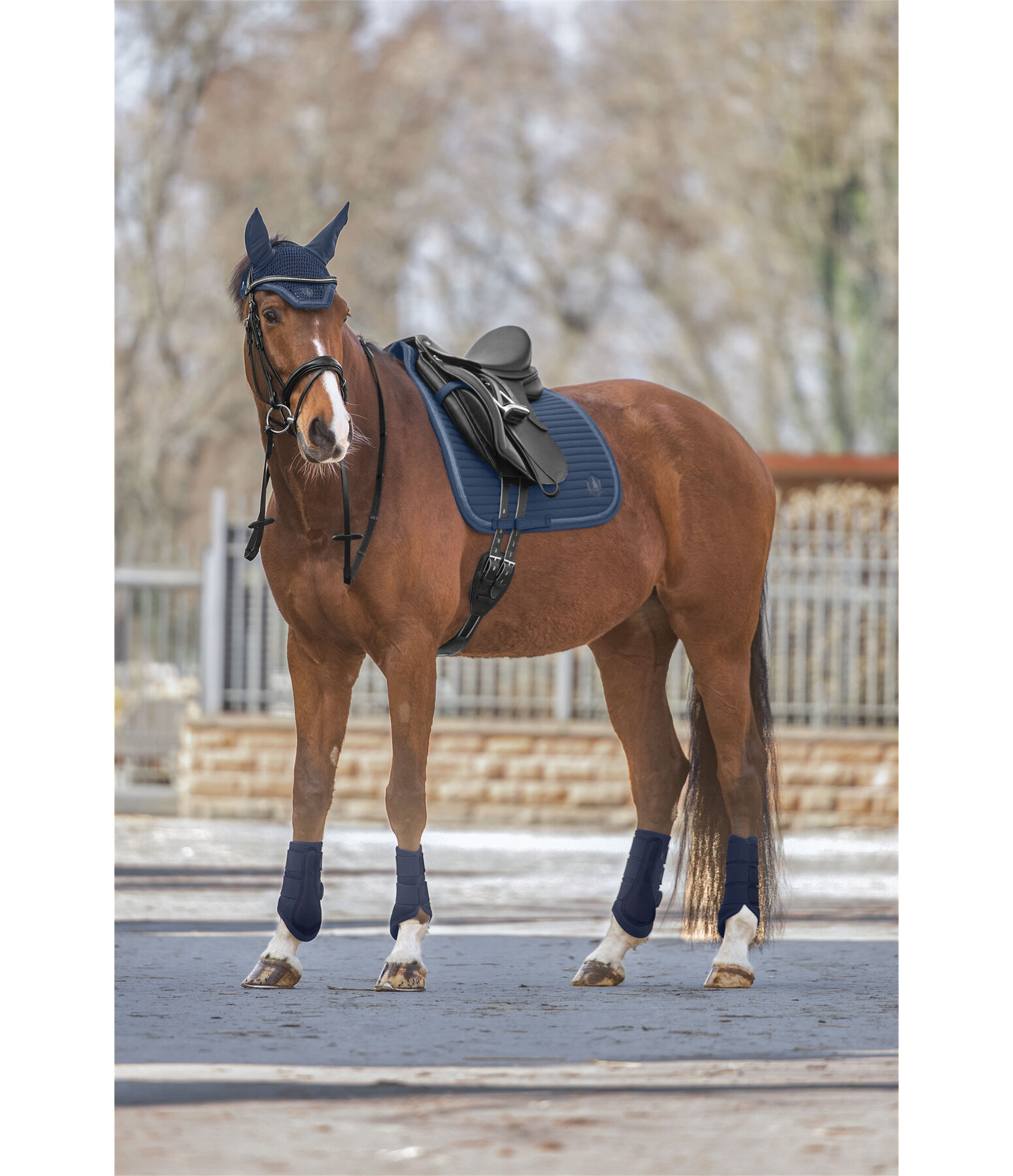 Gu�tres en mesh  Glitter, ant�rieurs