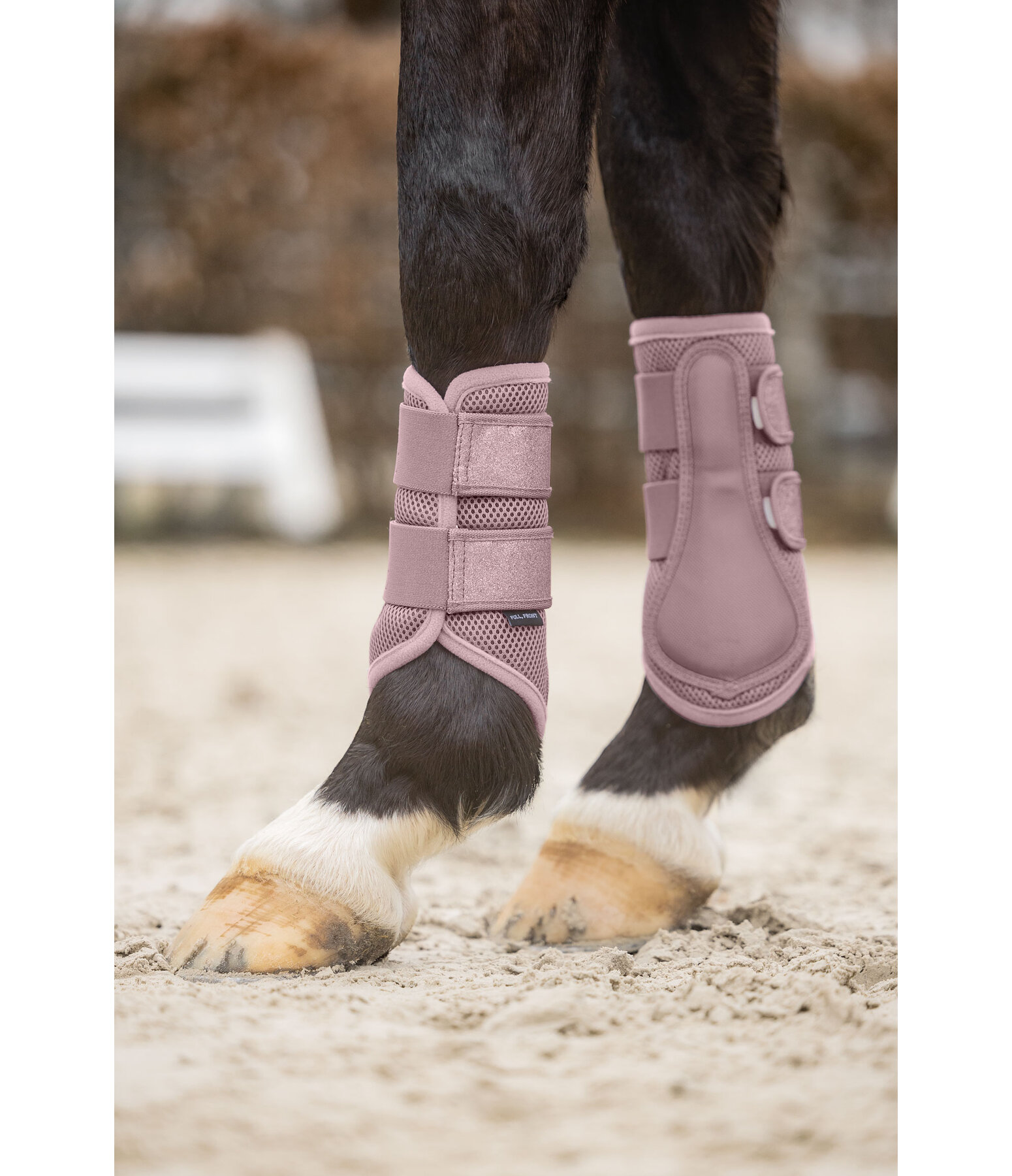 Gu�tres en mesh  Glitter, ant�rieurs