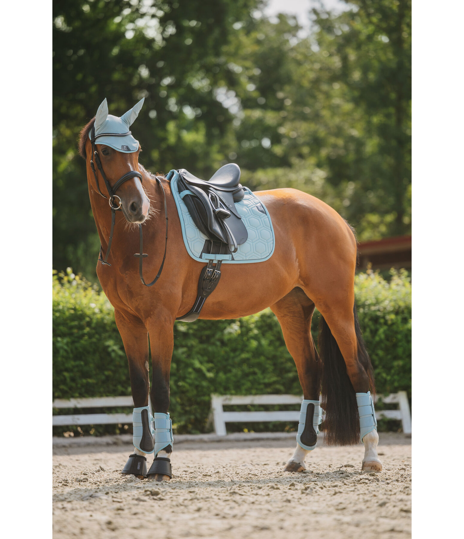 Gu�tres techniques  Mesh-Technology (ant�rieurs)