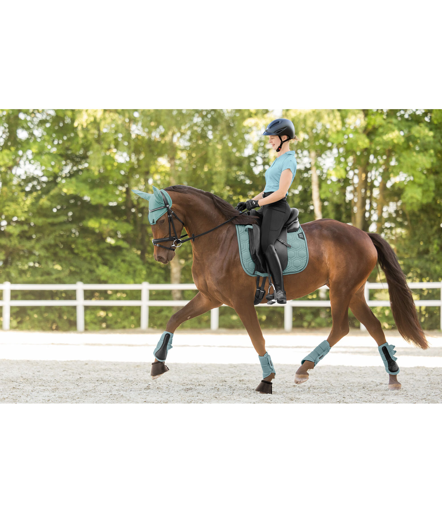 Gu�tres techniques  Mesh-Technology (ant�rieurs)