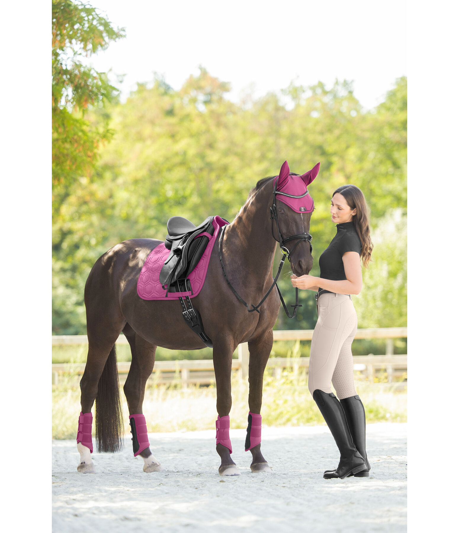 Gu�tres techniques  Mesh-Technology (post�rieurs)