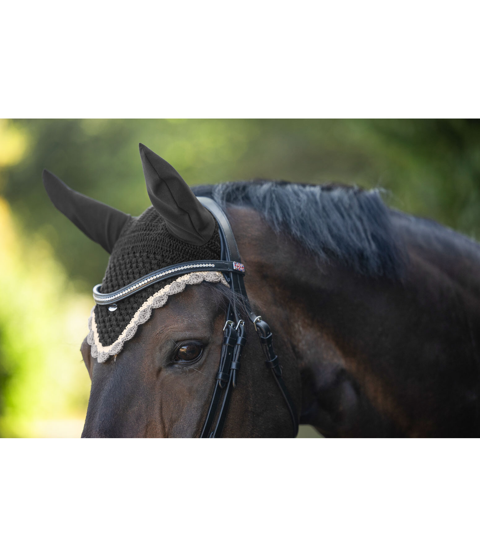 Bonnet anti-mouches  Primary