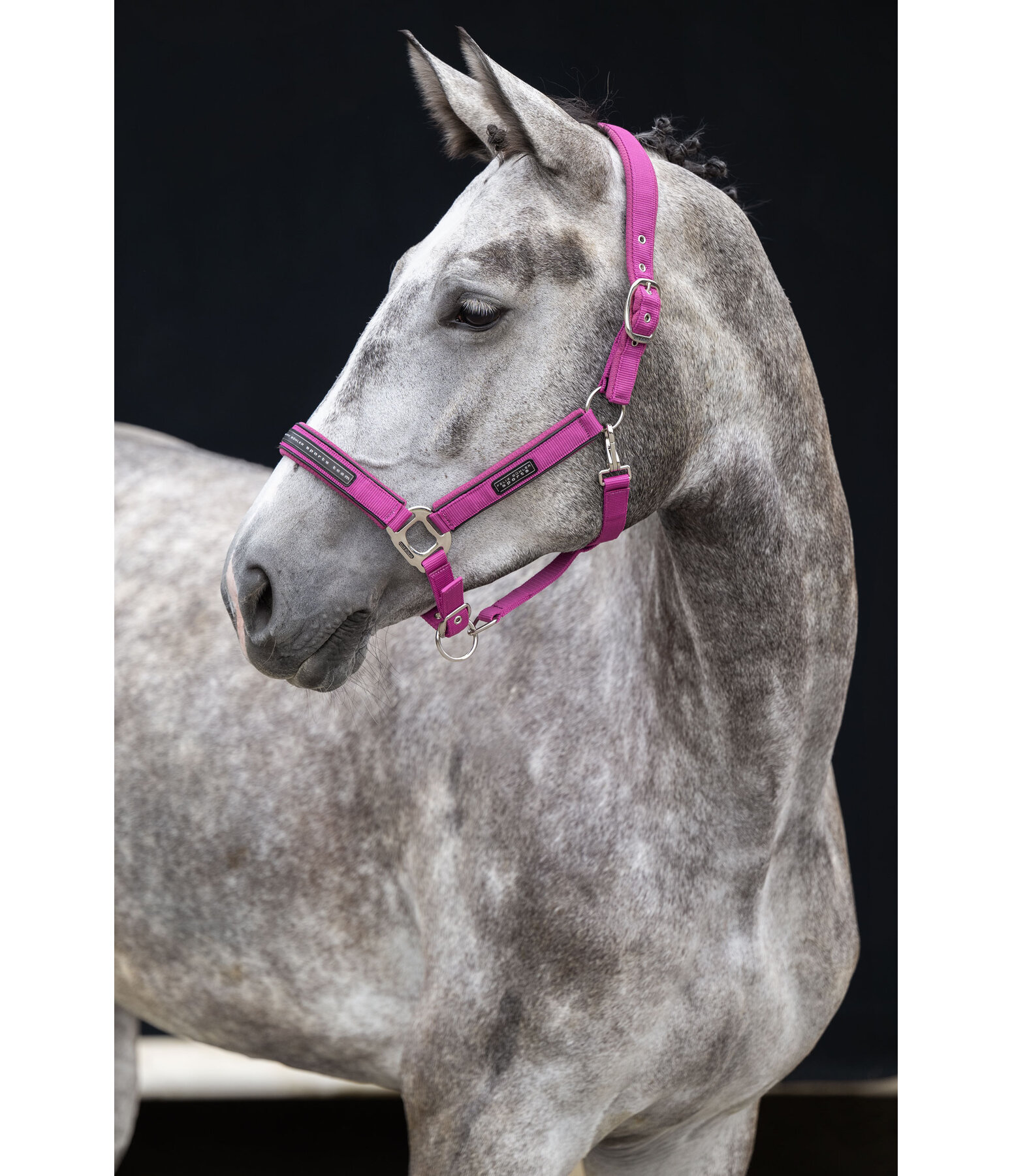 Licol  Mesh-Technology