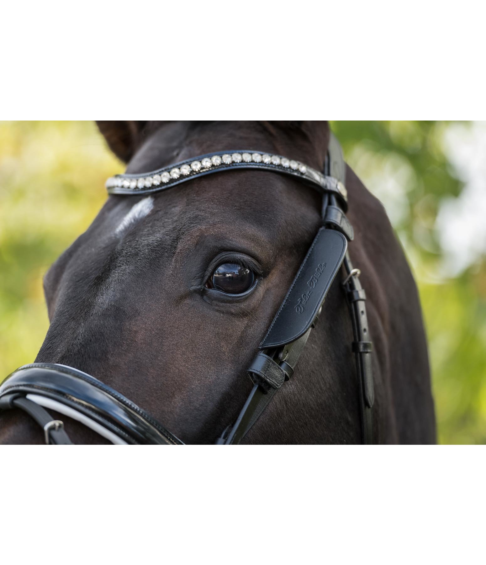 Oeillères Don #39 t Shy Away Accessoires de briderie Kramer Paardensport