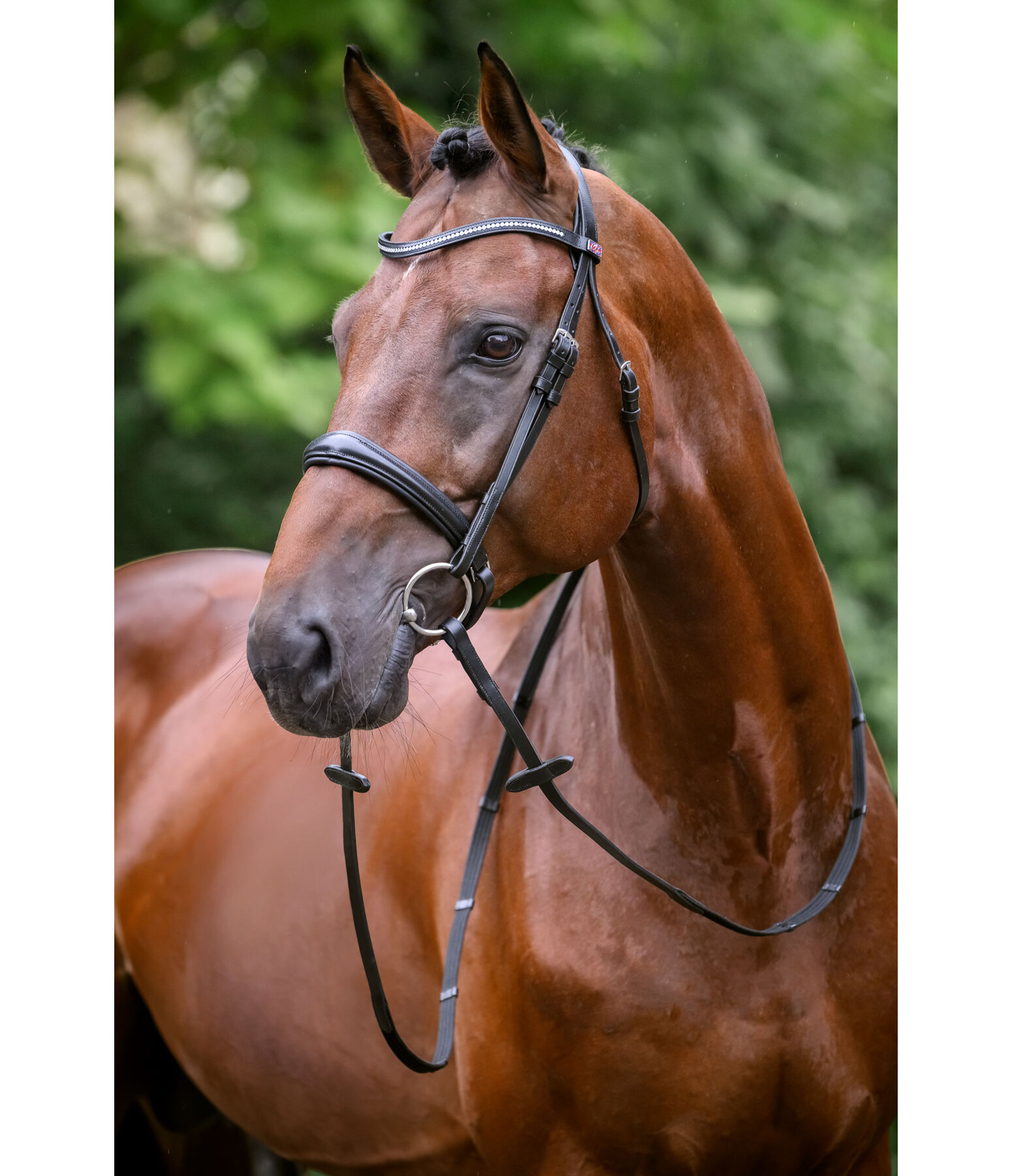 Bridon avec boucle de noseband amovible  Mirissa
