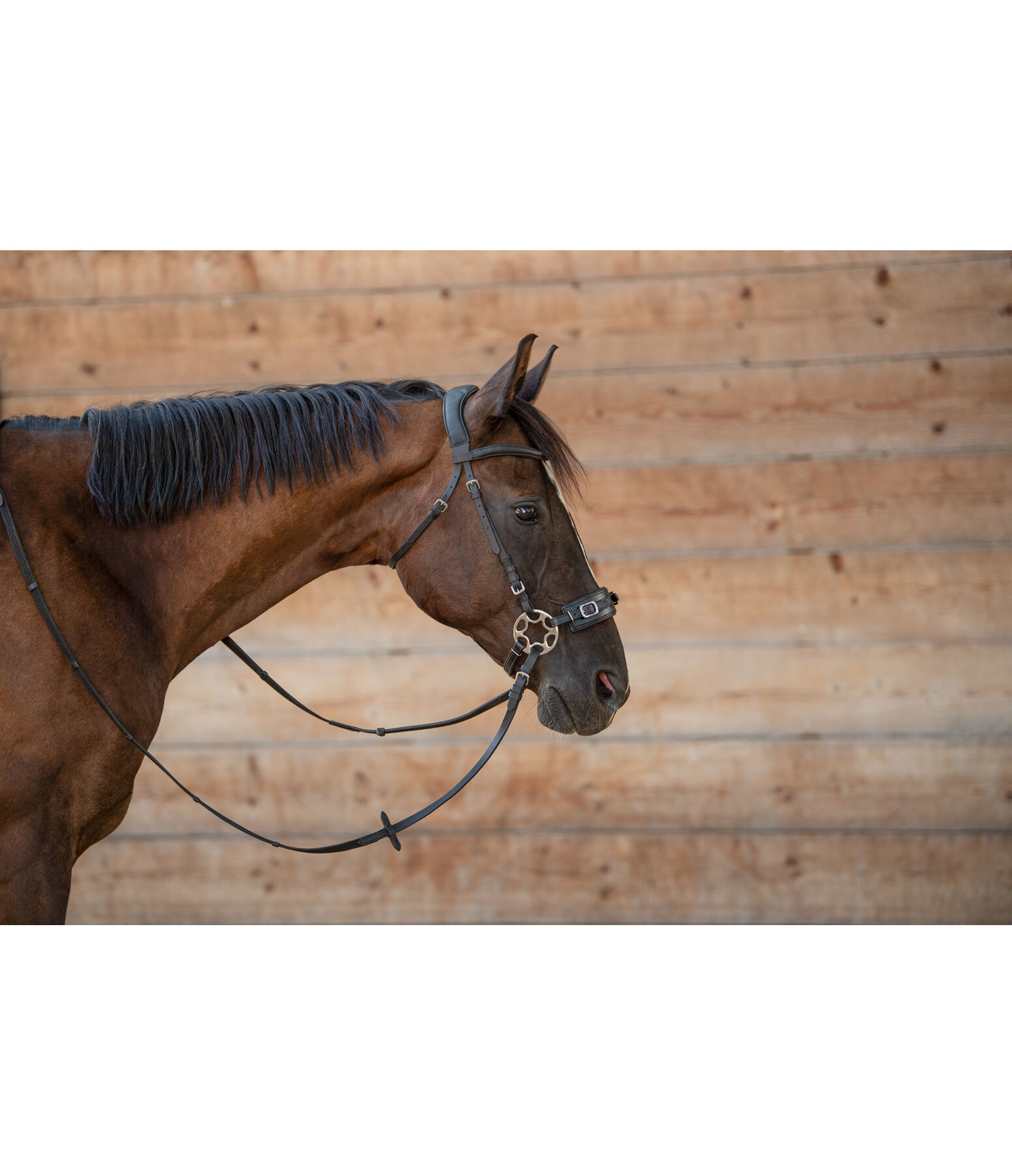 T�ti�re en cuir gras sans mors Mix & Match