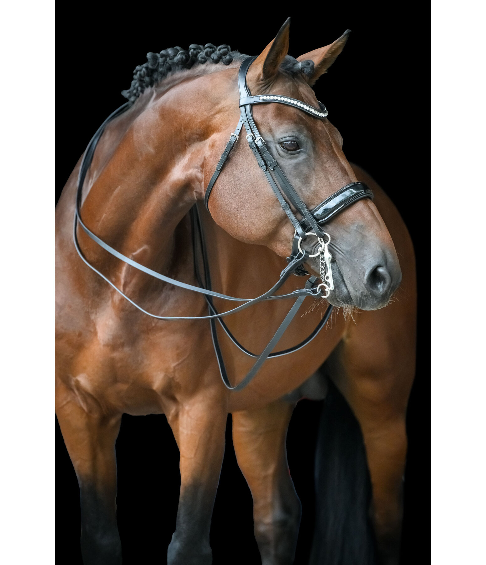 Bride  Dressage II