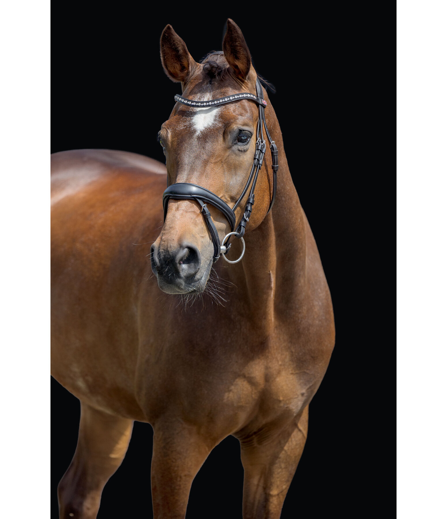 Bridon avec noseband amovible  Alaska