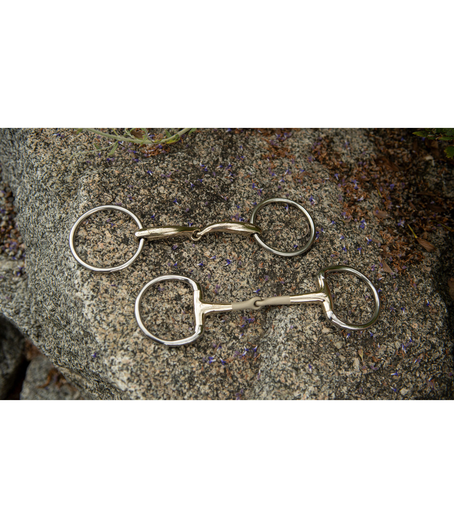 Mors  anneaux simple brisure SG Pronamic Sensogan