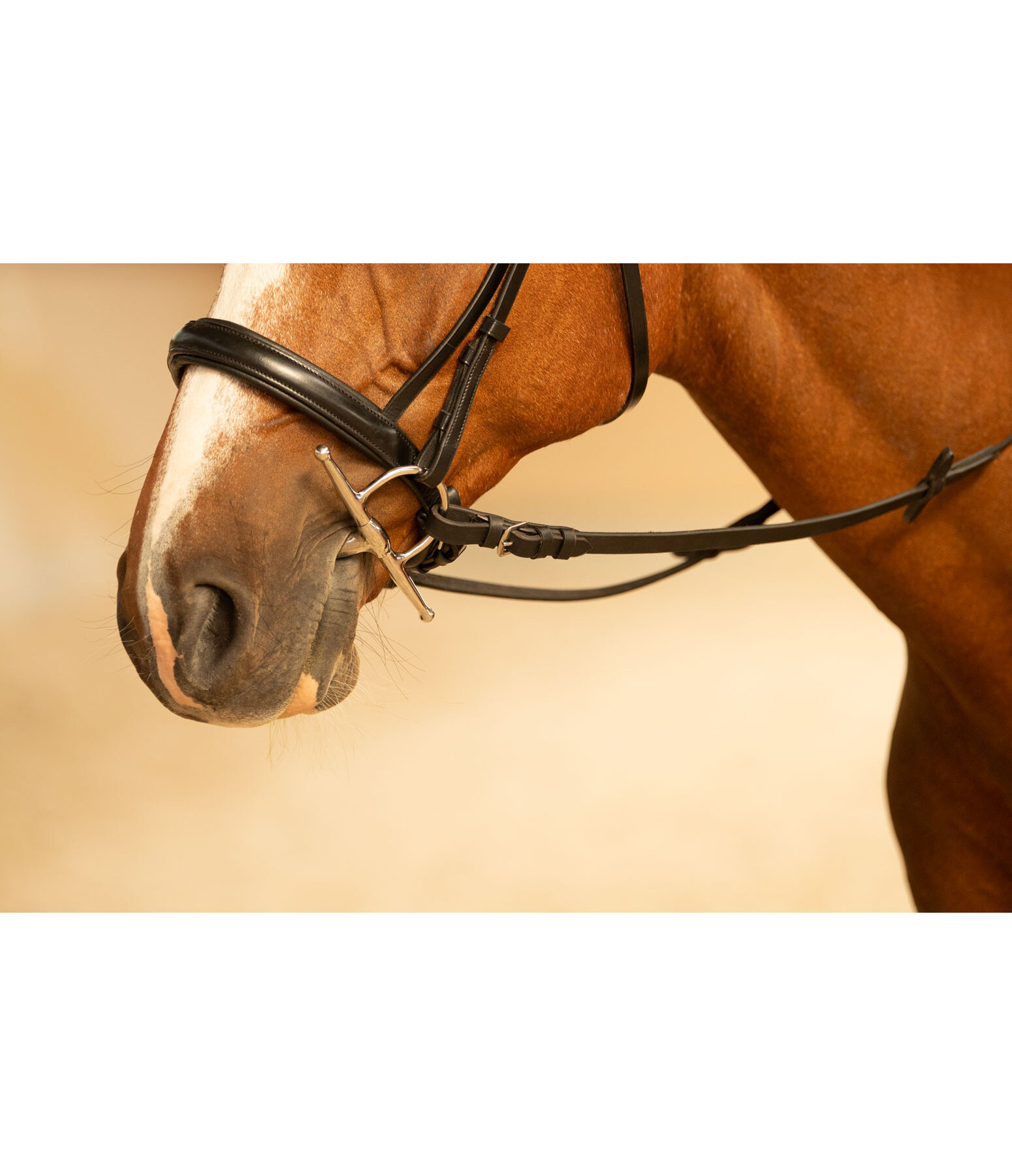 Mors � aiguilles double brisure 16 mm