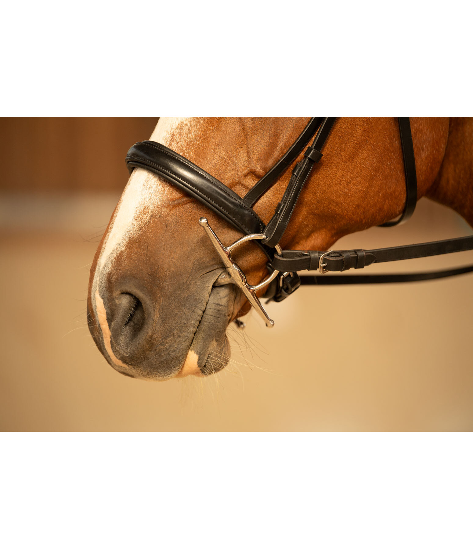 Mors � aiguilles double brisure 16 mm