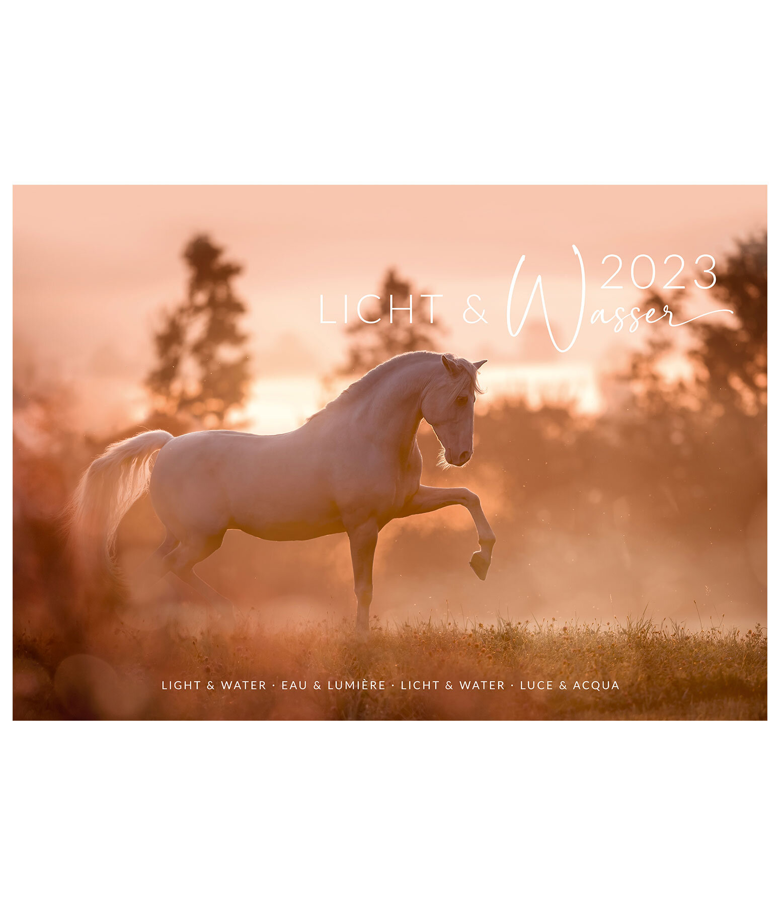 Calendrier artistique Chevaux & Eau 2021