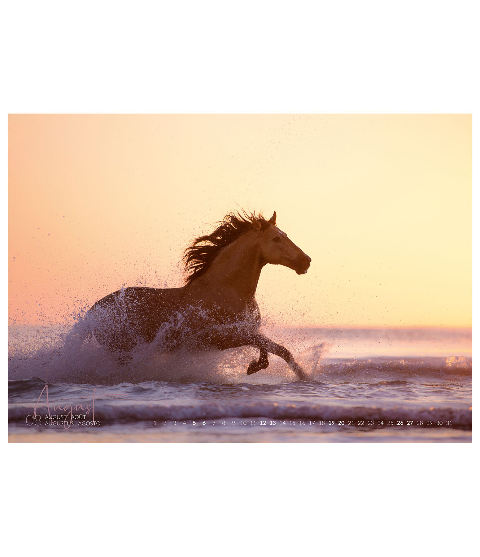 Calendrier artistique Chevaux & Eau 2021