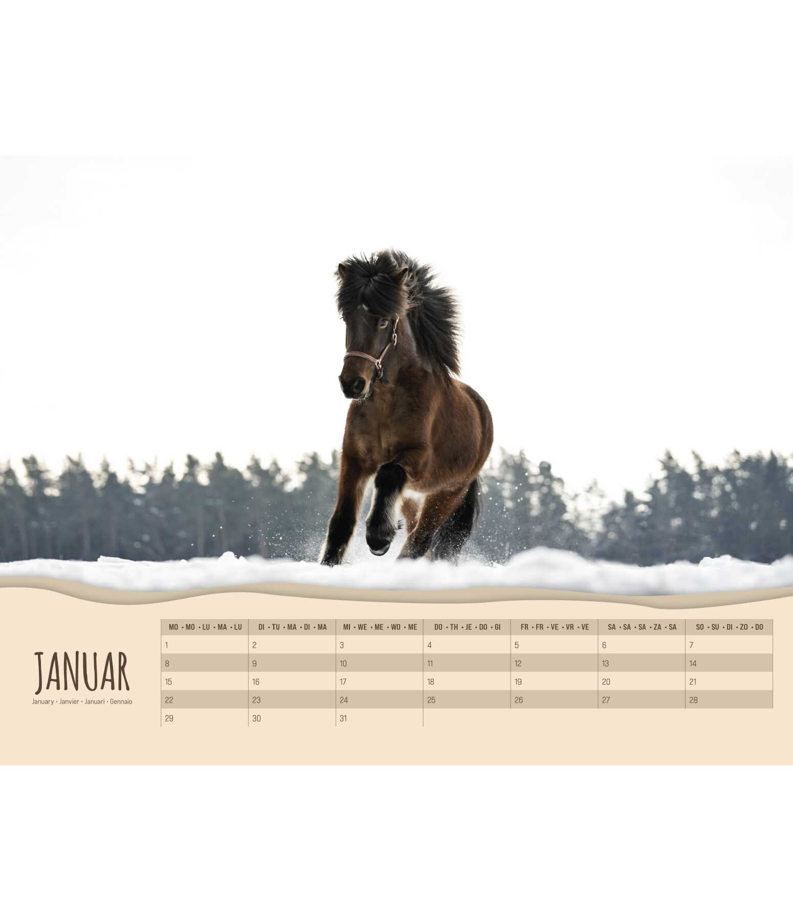 Calendrier 2025 - Poneys