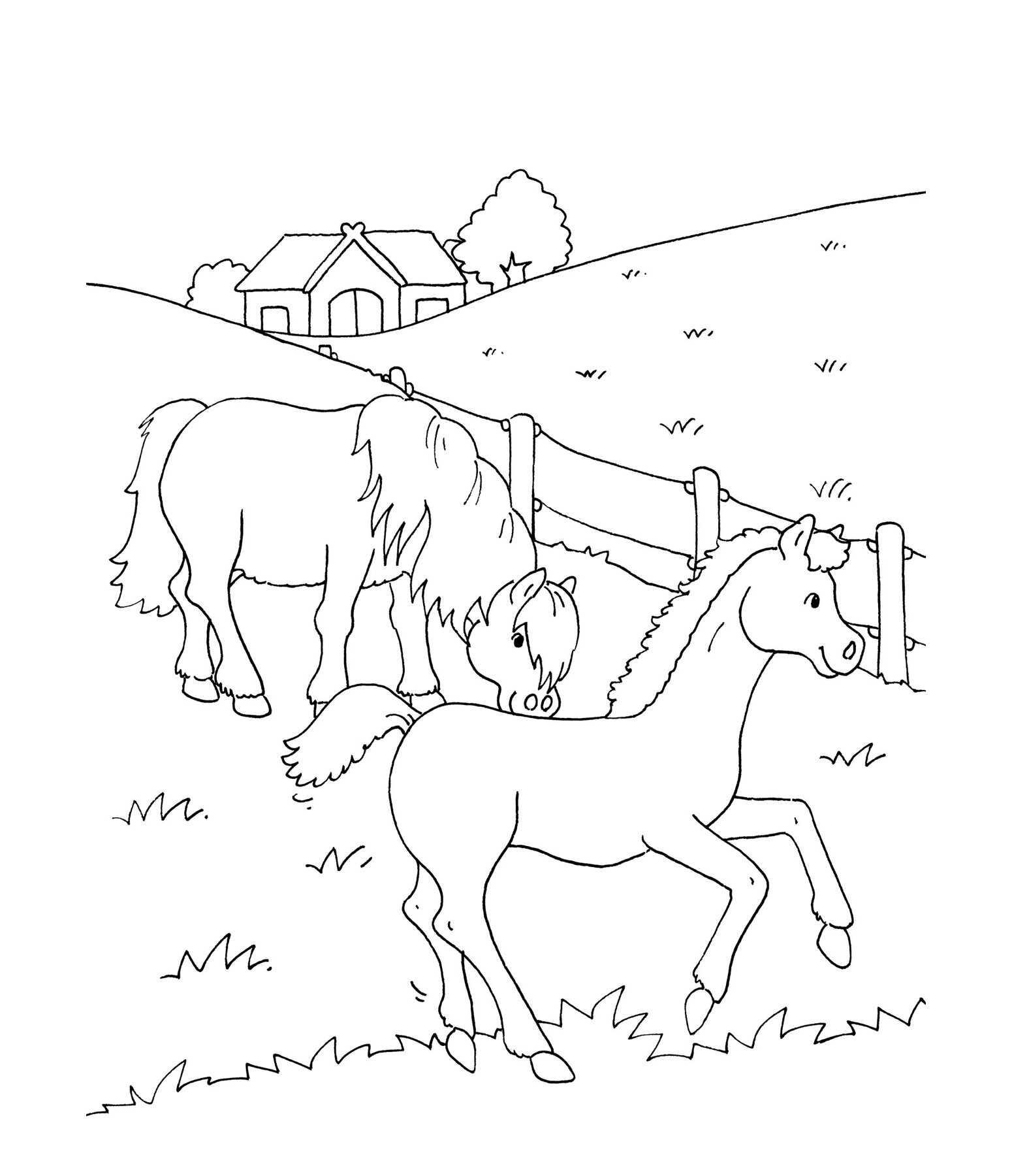 Mon grand livre de coloriage - Cheval