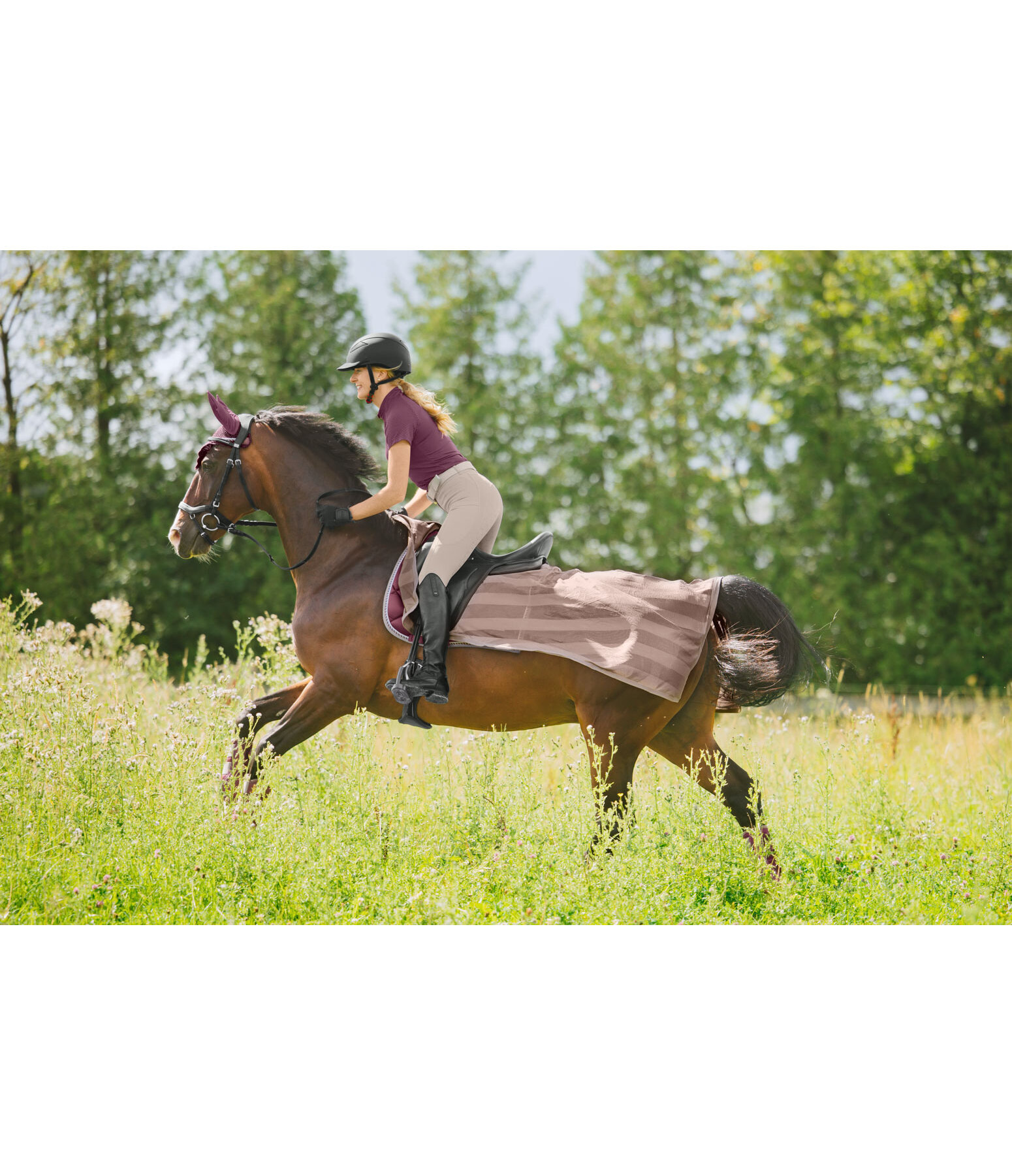 Couvre-reins anti-mouches  Economy Light