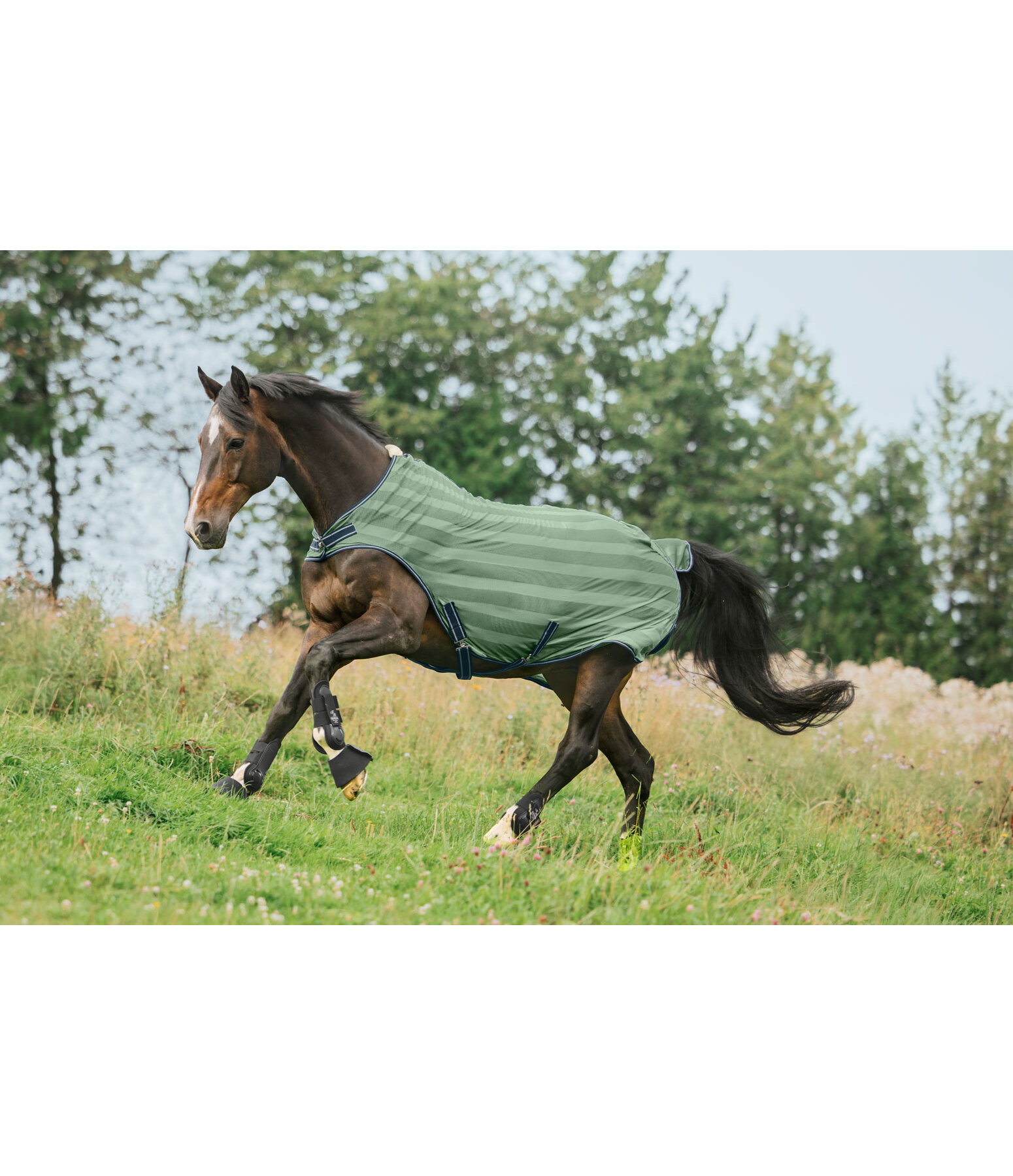 Chemise de marcheur anti-mouches  Economy Light