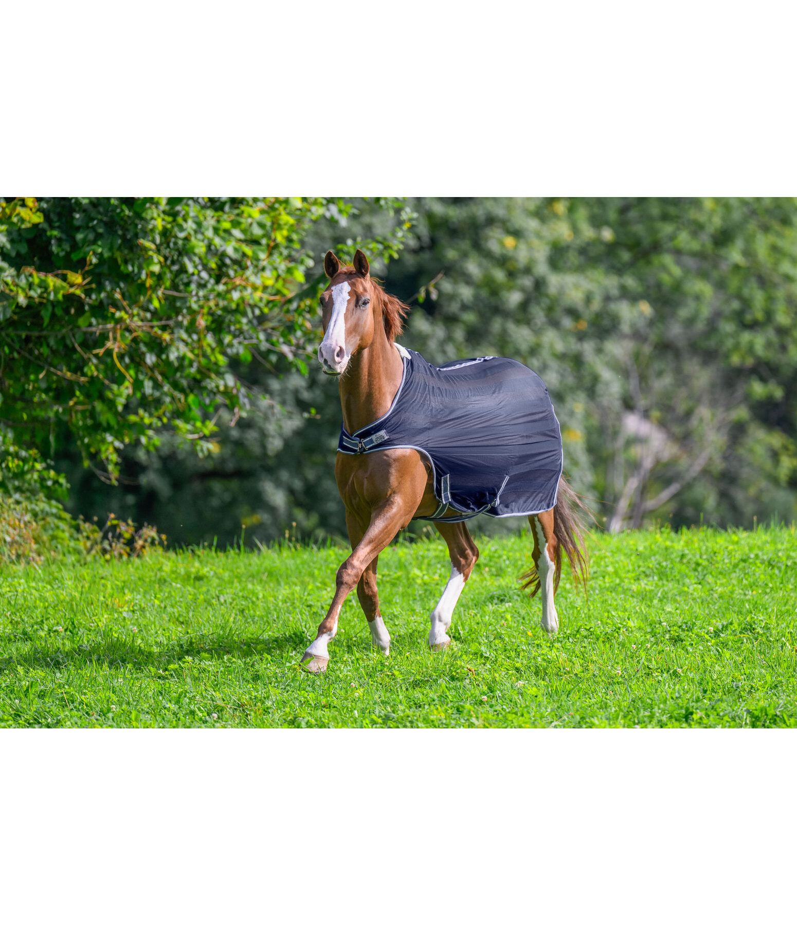 Chemise de marcheur anti-mouches  Economy Light