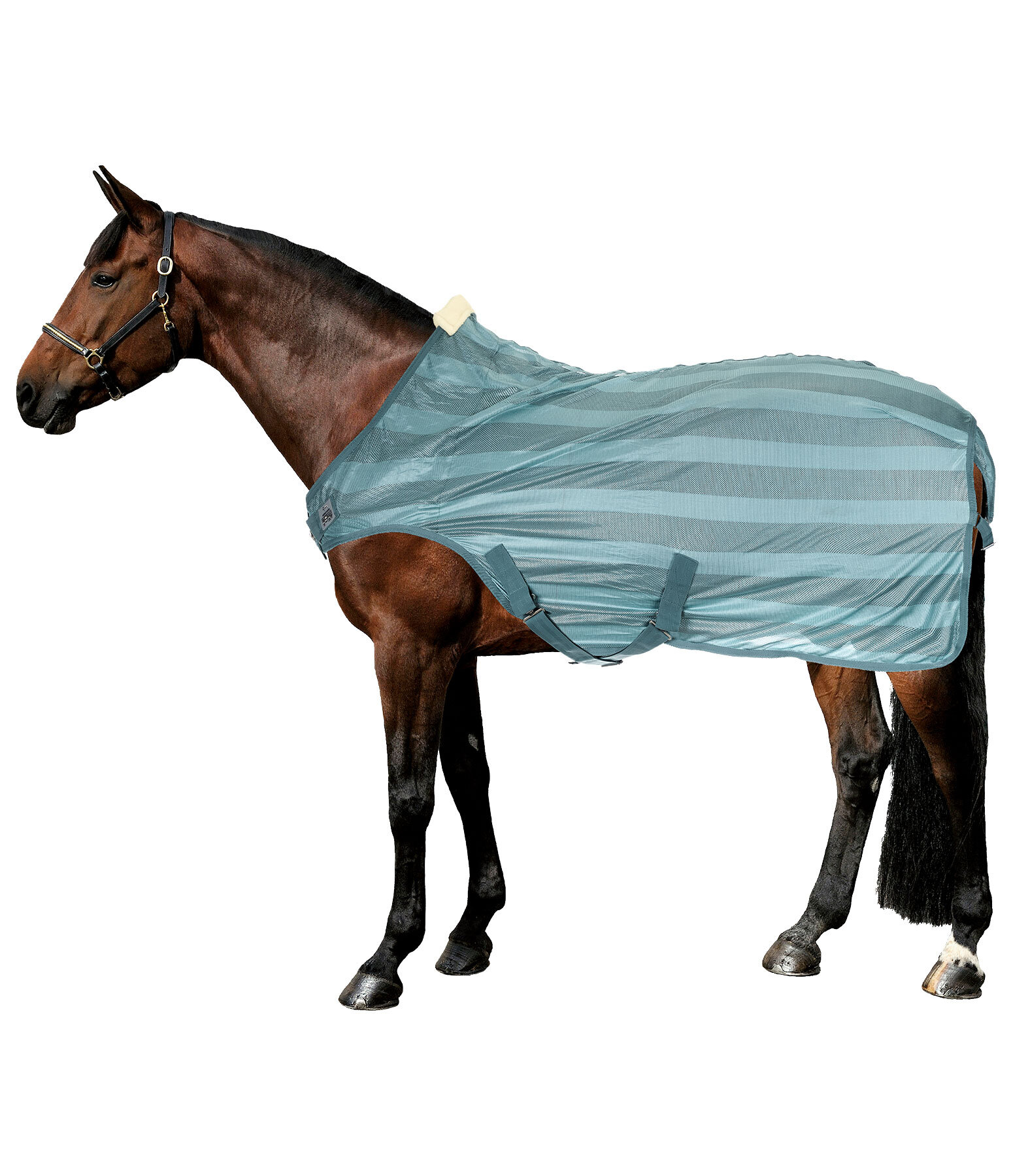 Chemise de marcheur anti-mouches  Economy Light