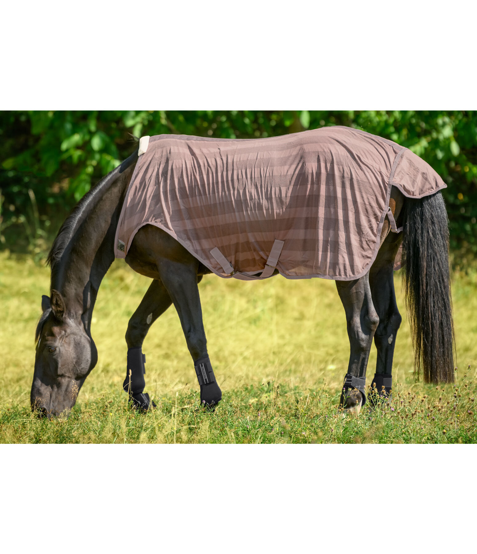 Chemise de marcheur anti-mouches  Economy Light