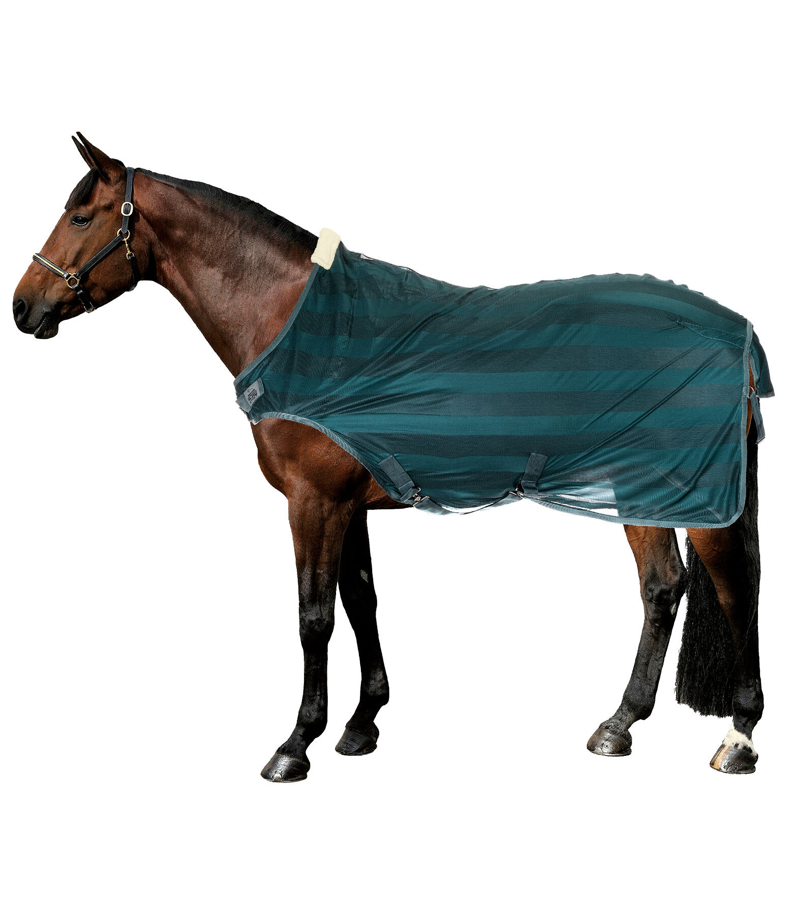 Chemise de marcheur anti-mouches  Economy Light