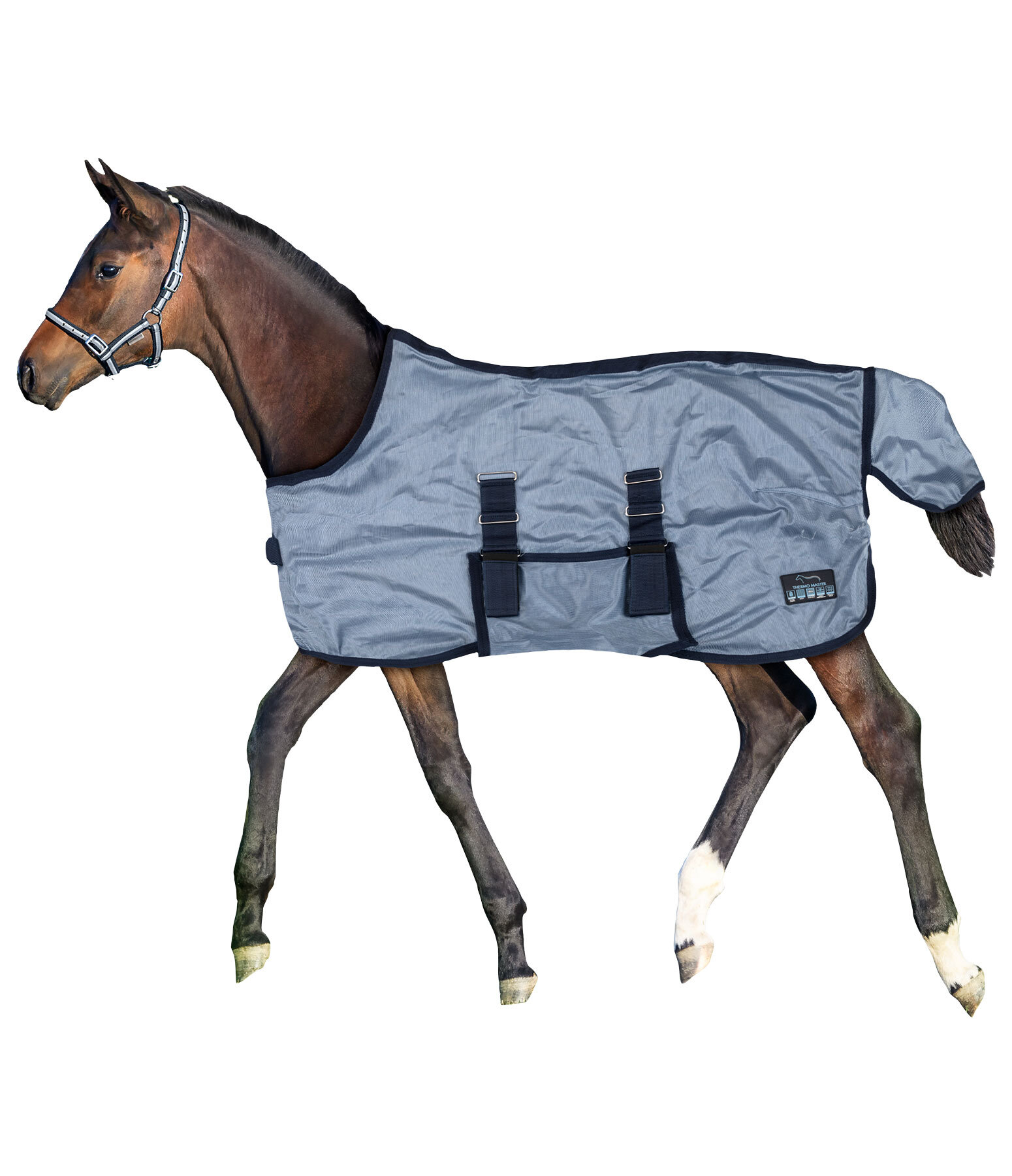 Couverture anti-mouches poulain et mini shetland  Kubi Fly