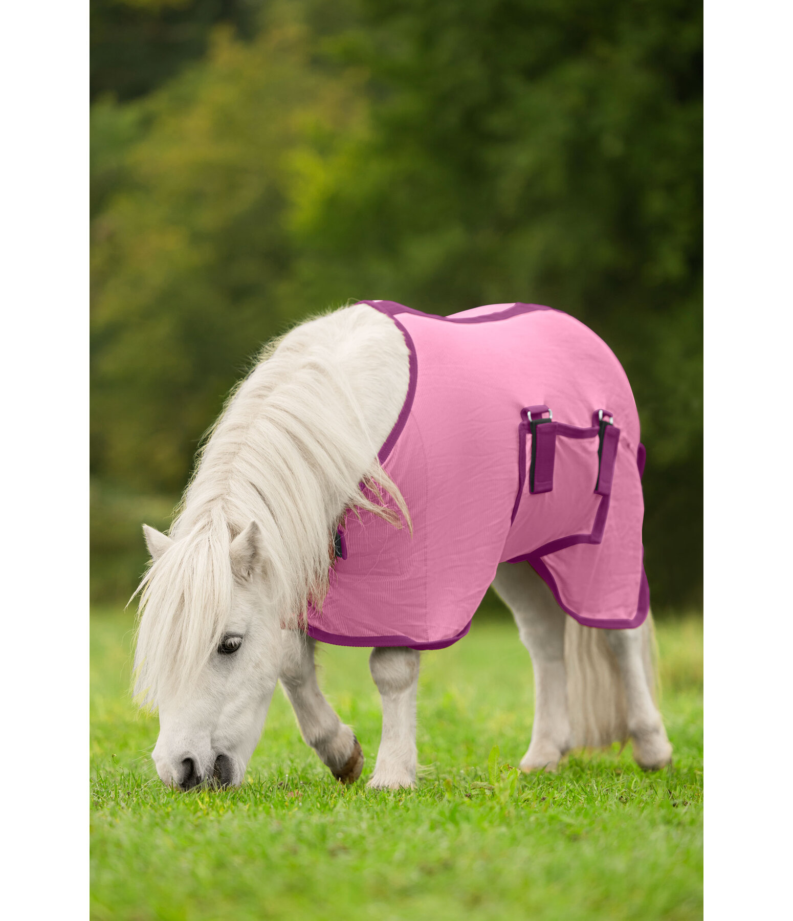 Couverture anti-mouches poulain et mini shetland  Kubi Fly